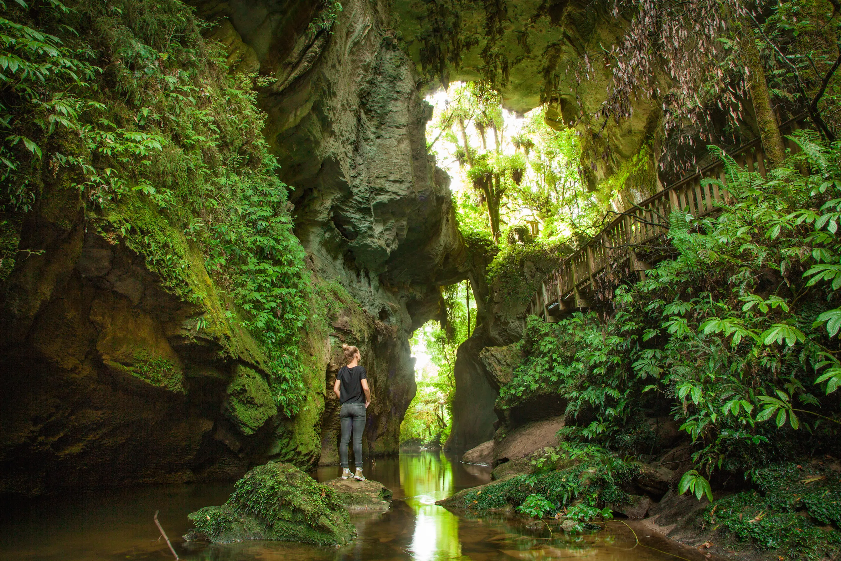 Explore the Mangapohue Natural Bridge