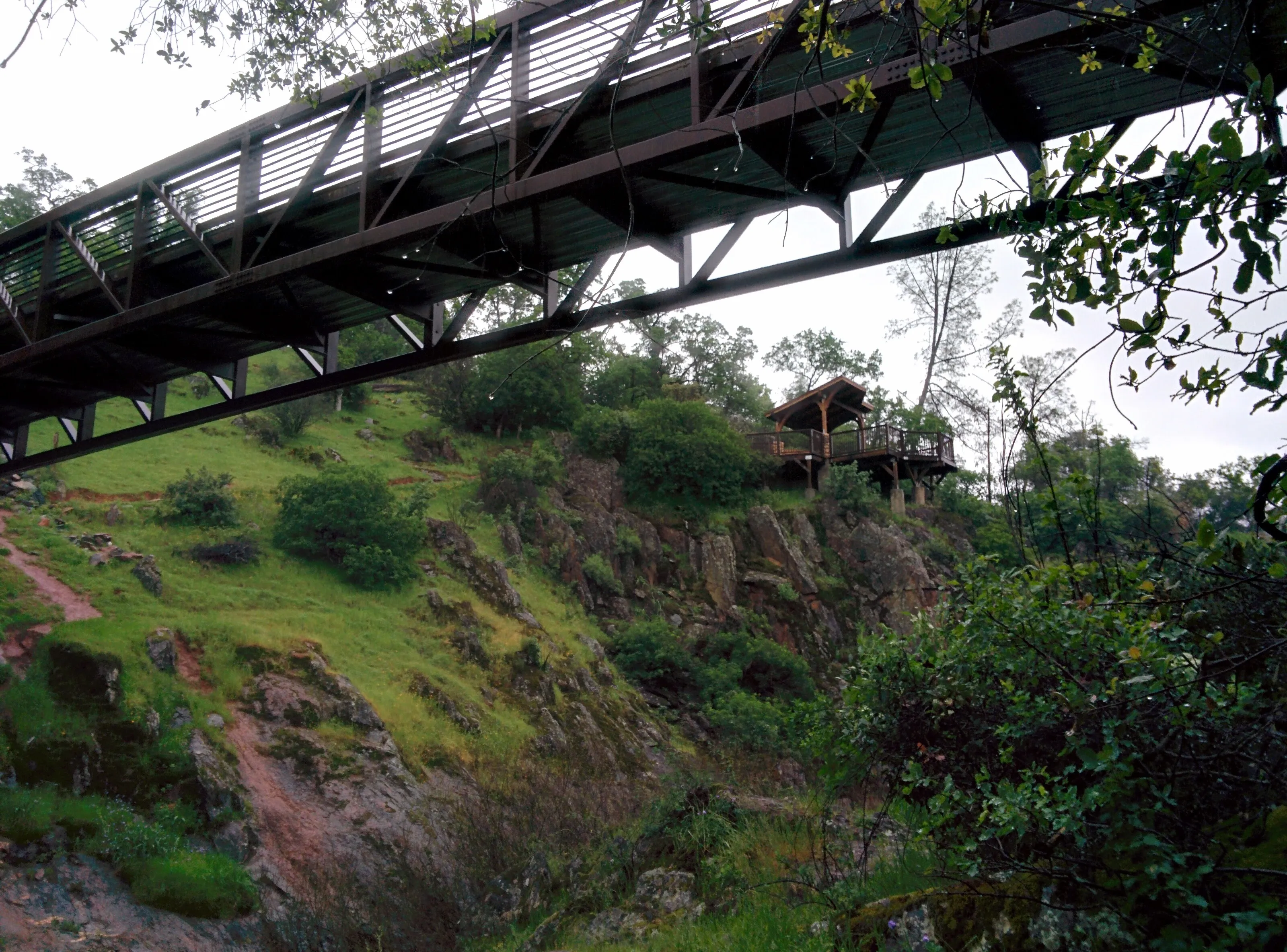Coon Creek and Hidden Falls Loop