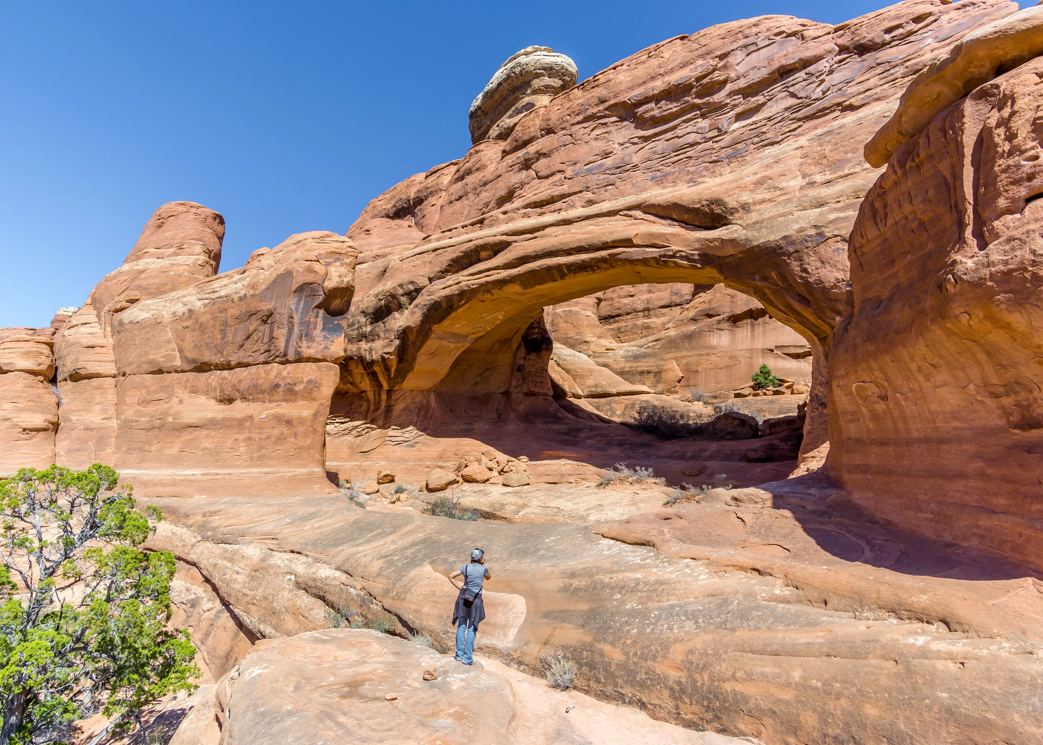 Tower Arch