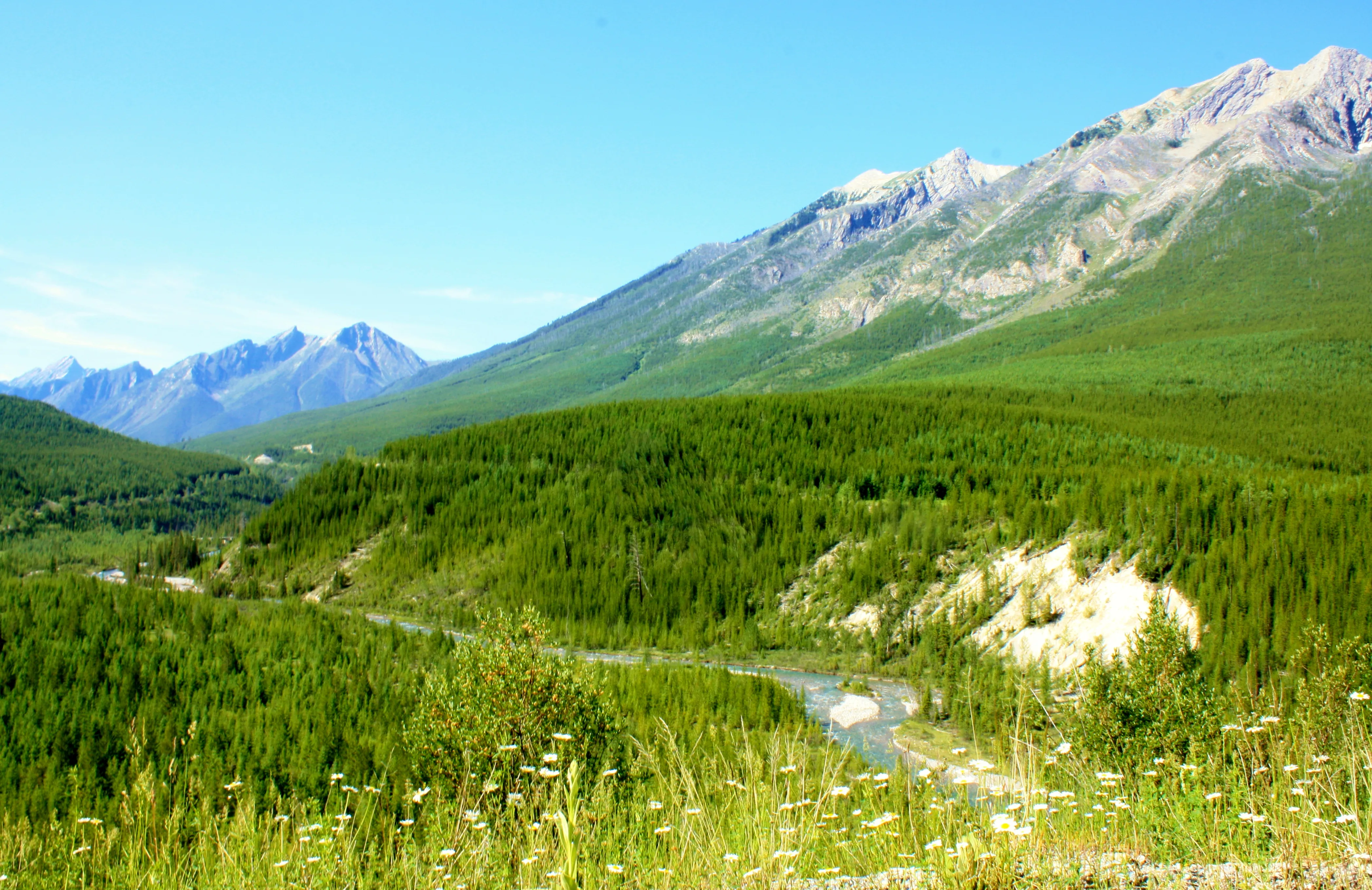 Camp at Alces Lake in Whiteswan Provincial Park