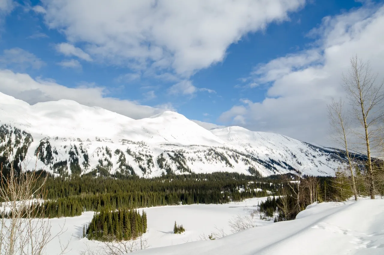 Ski or Snowboard at Powder King Mountain Resort