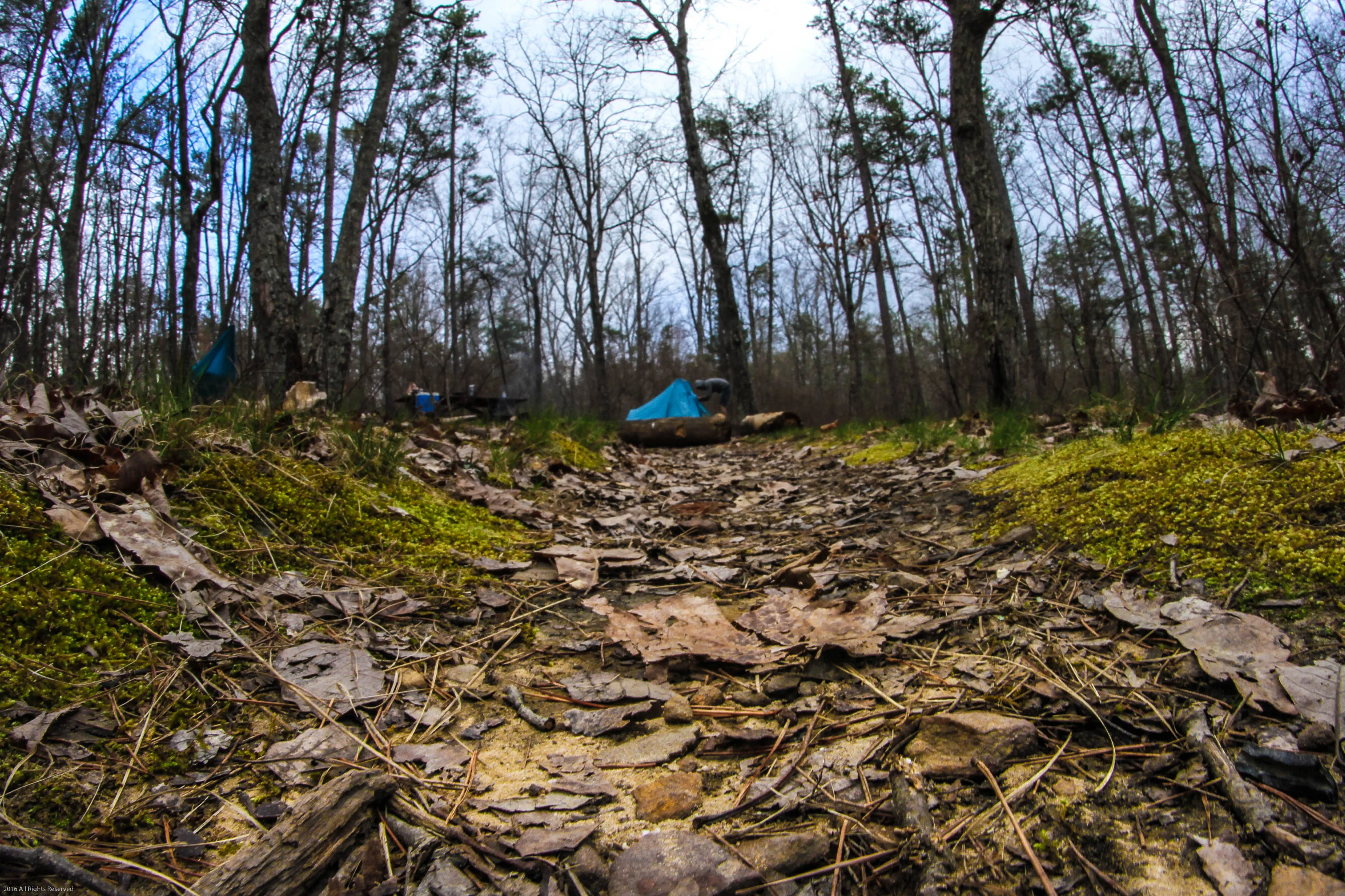 Camp at Cloudland Canyon State Park 
