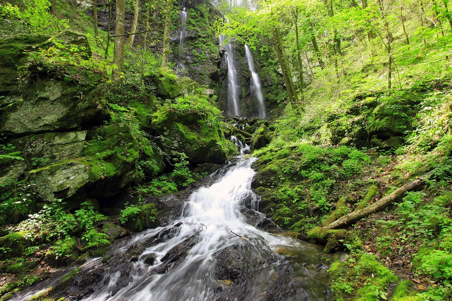 Hike to Lee Falls
