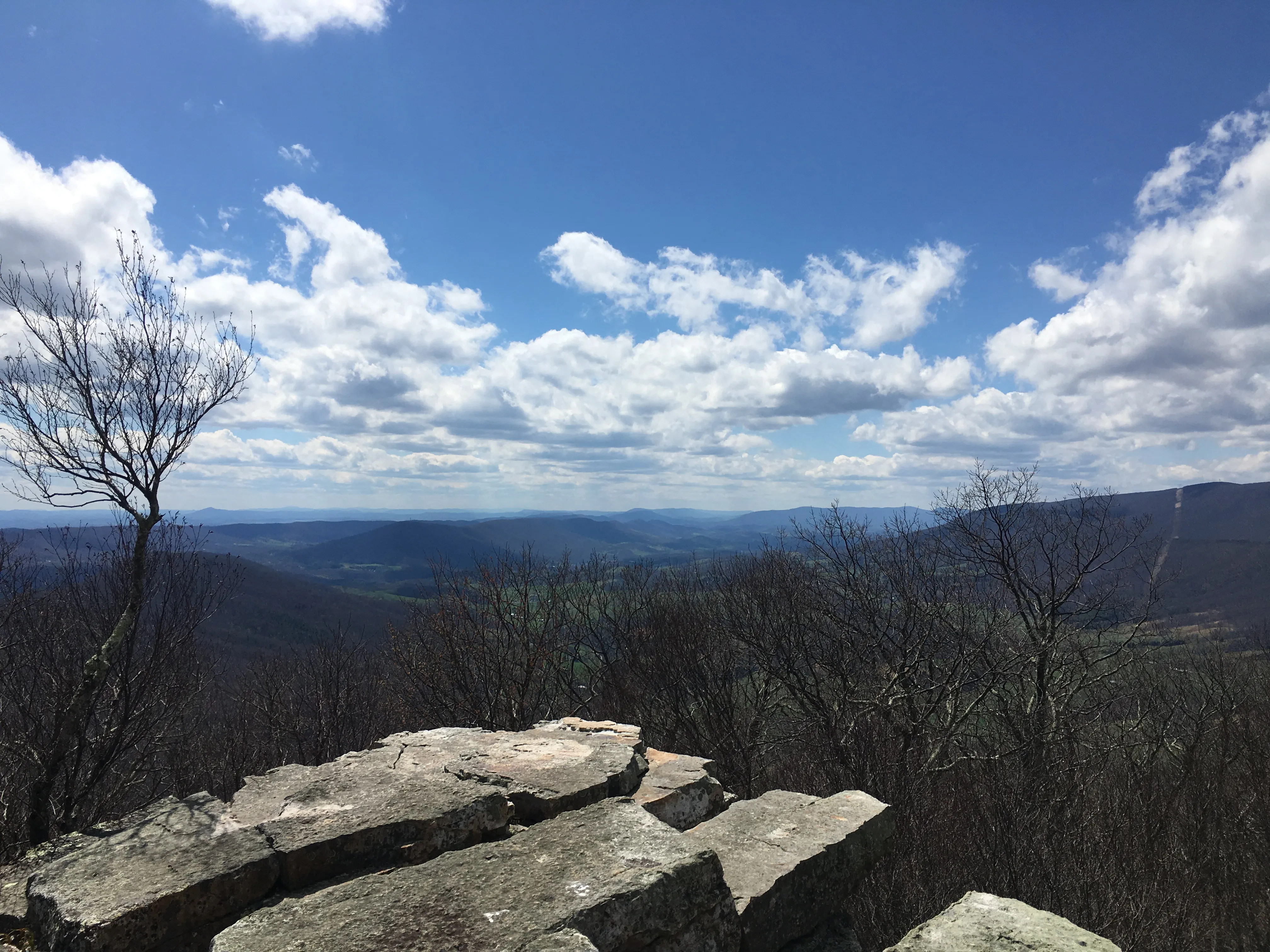 Kelly's Knob via the Appalachian Trail