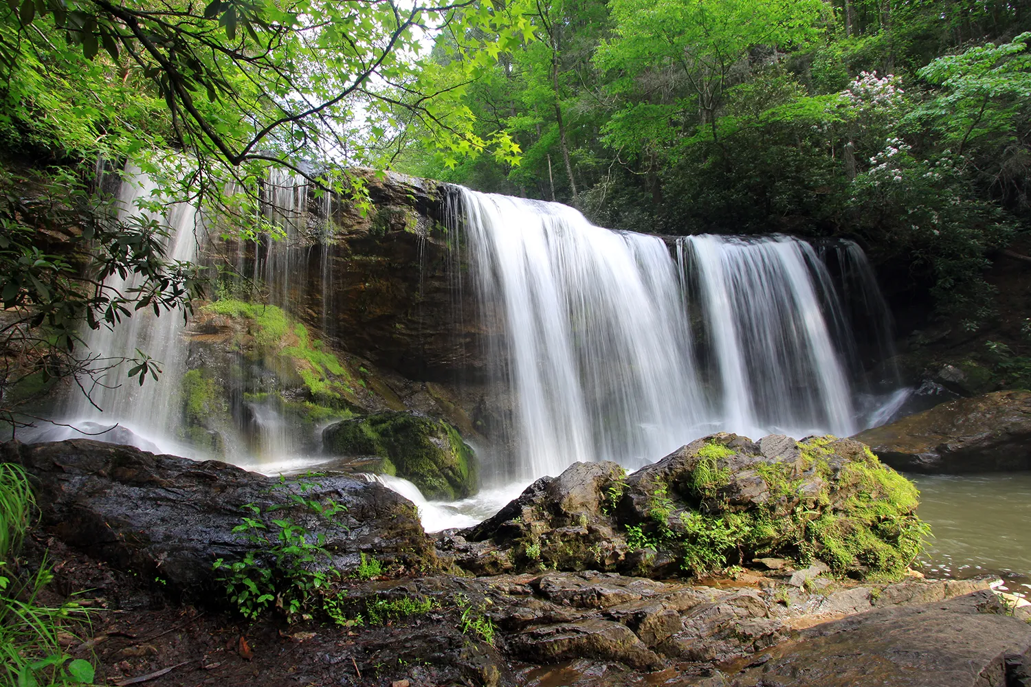 Brasstown Falls