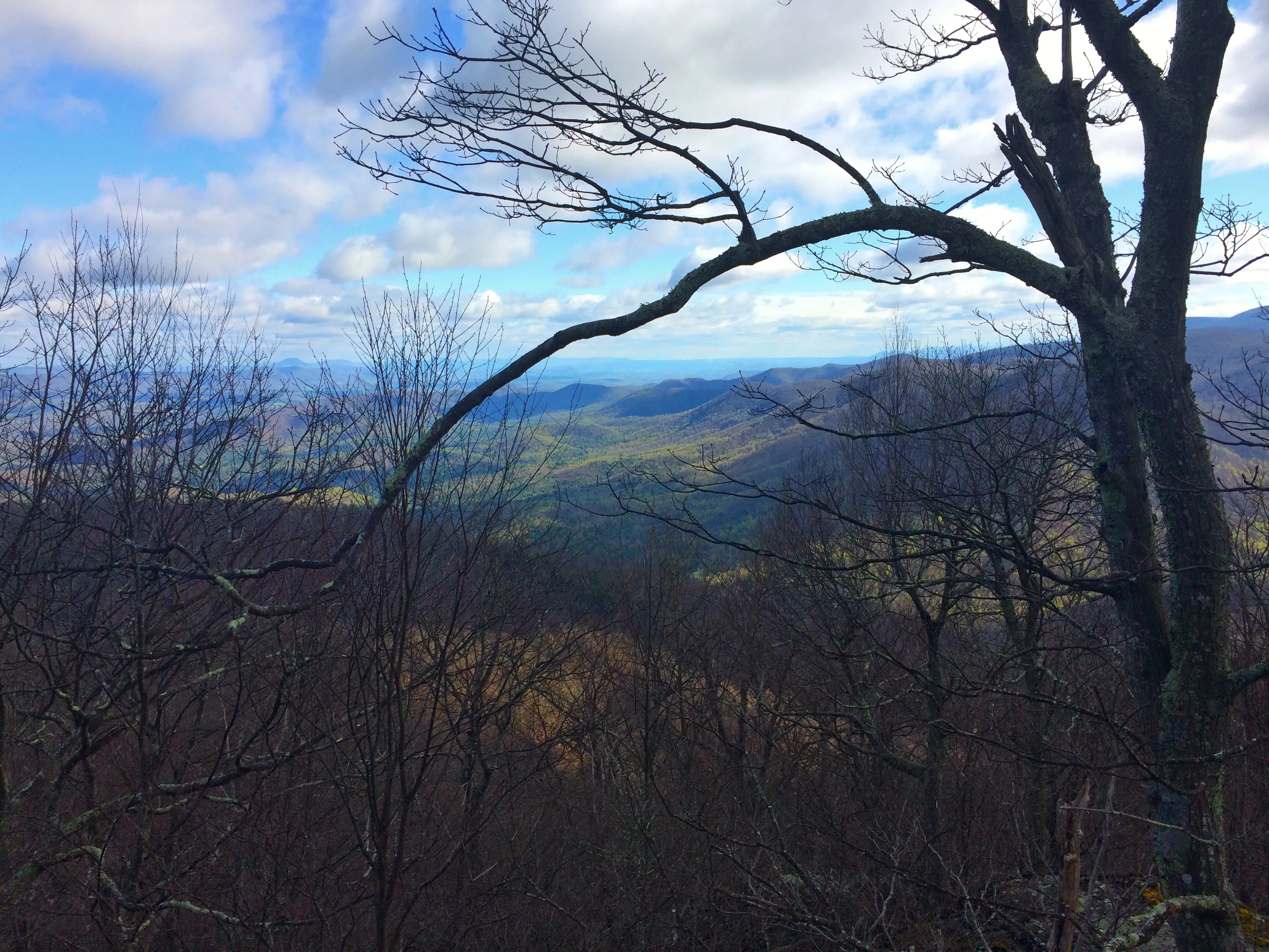 Hike the Harkening Hill Loop