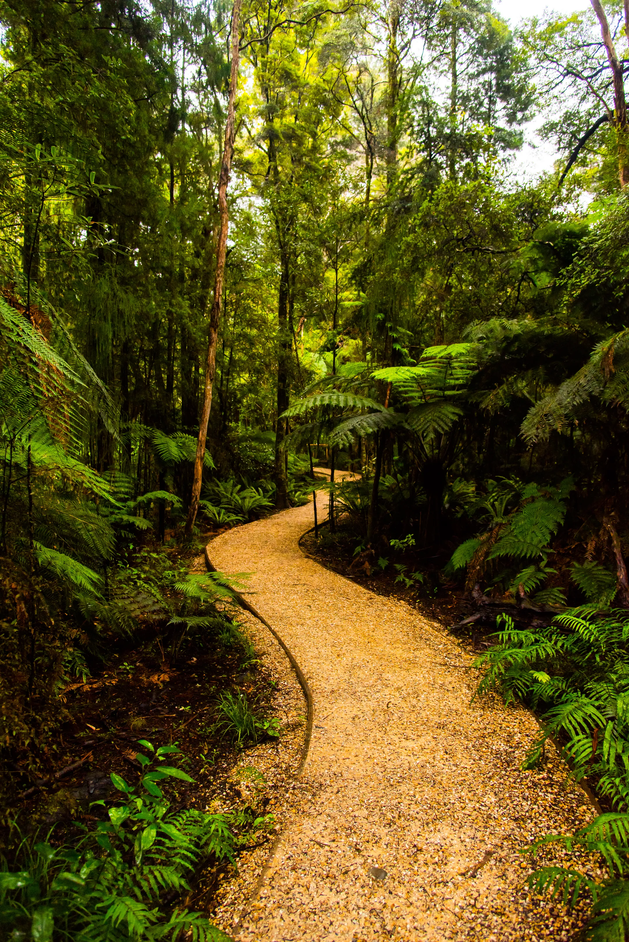 Take a Stroll around Te Waikoropupu Springs