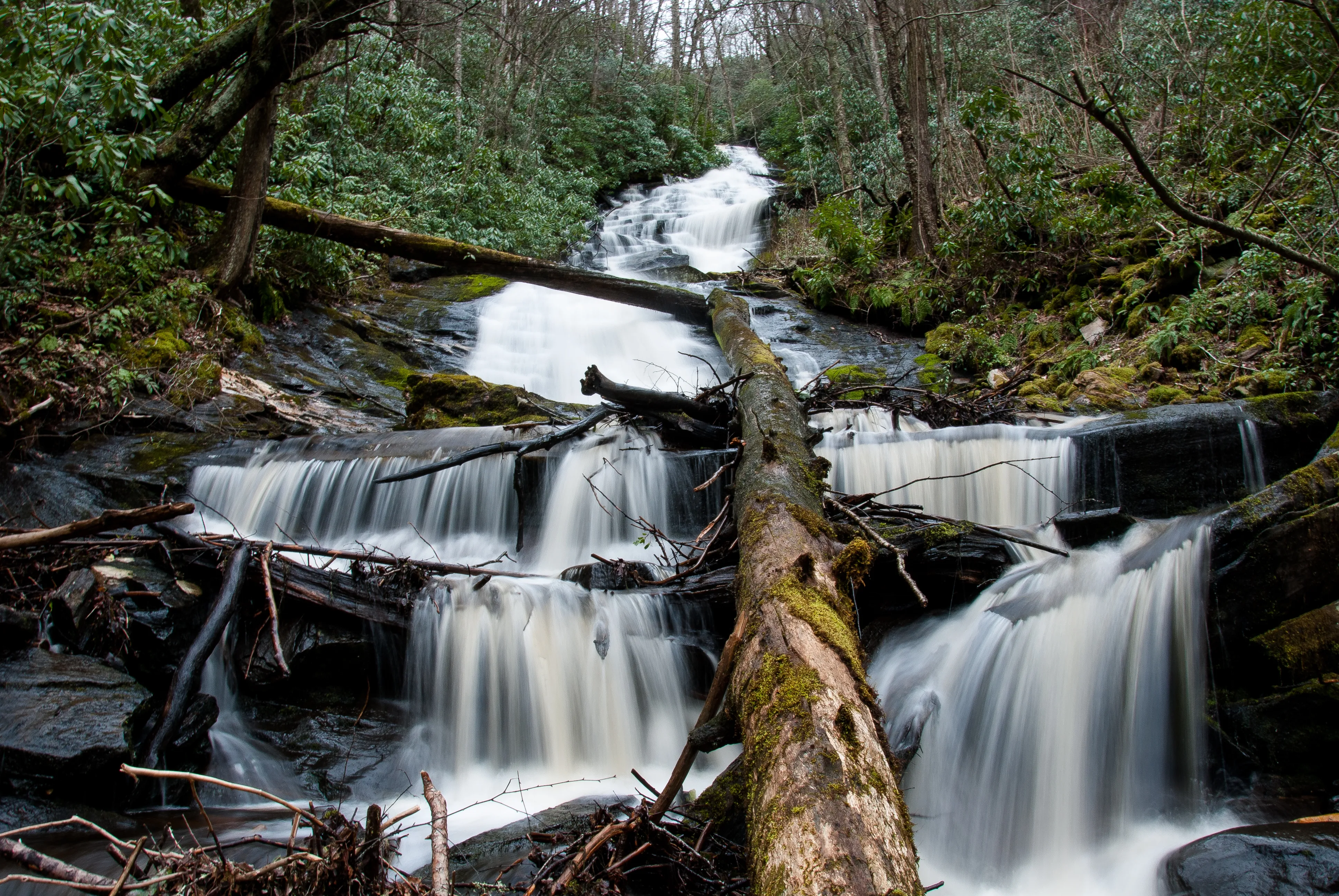Hike to Alarka Falls