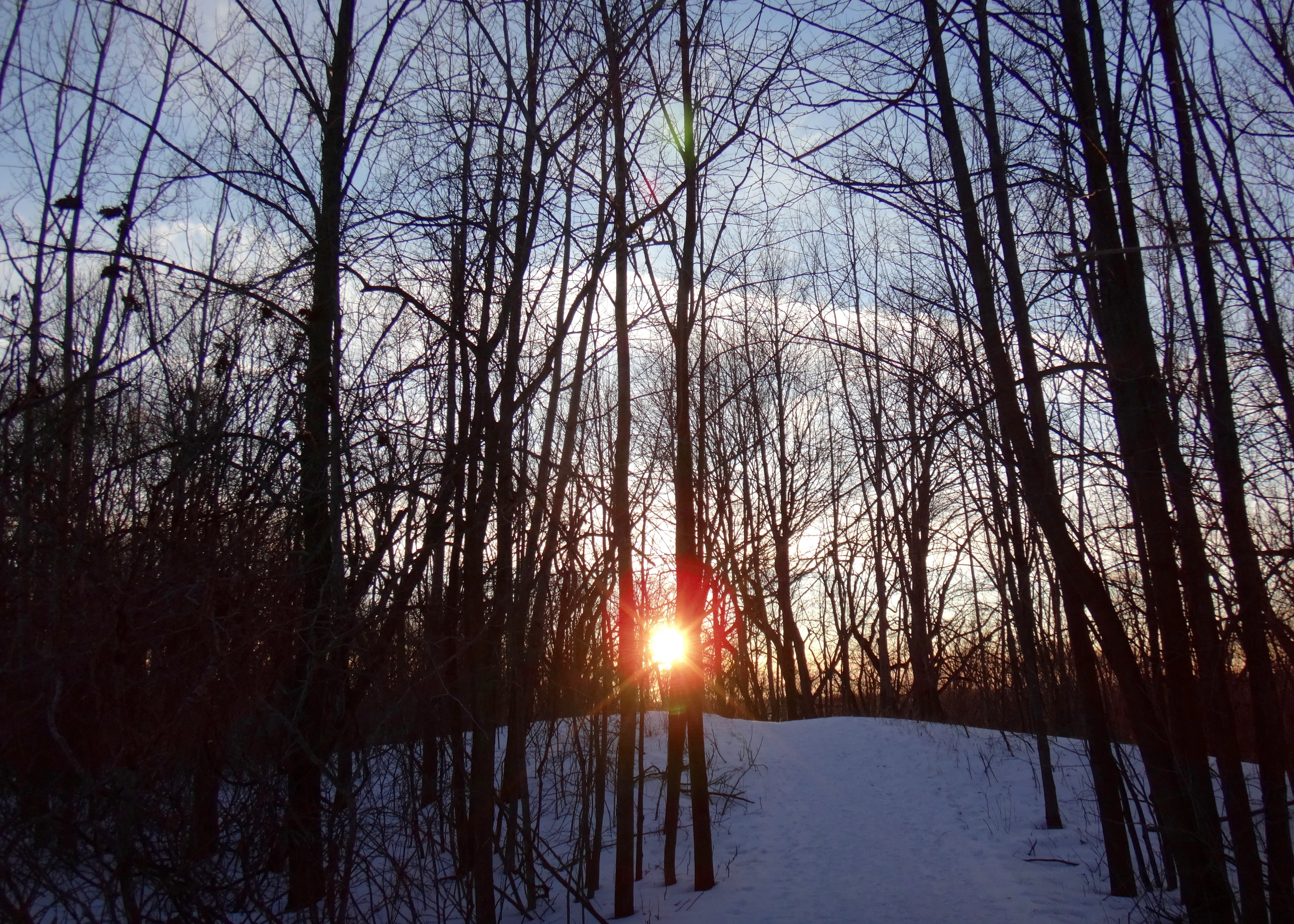 Catch A Sunset from Powder Hill