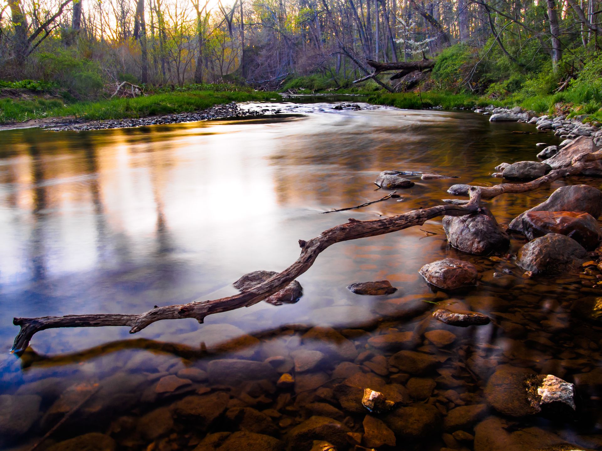 Hike the Henry's Woods Loop in Jacobsburg State Park, Nazareth ...