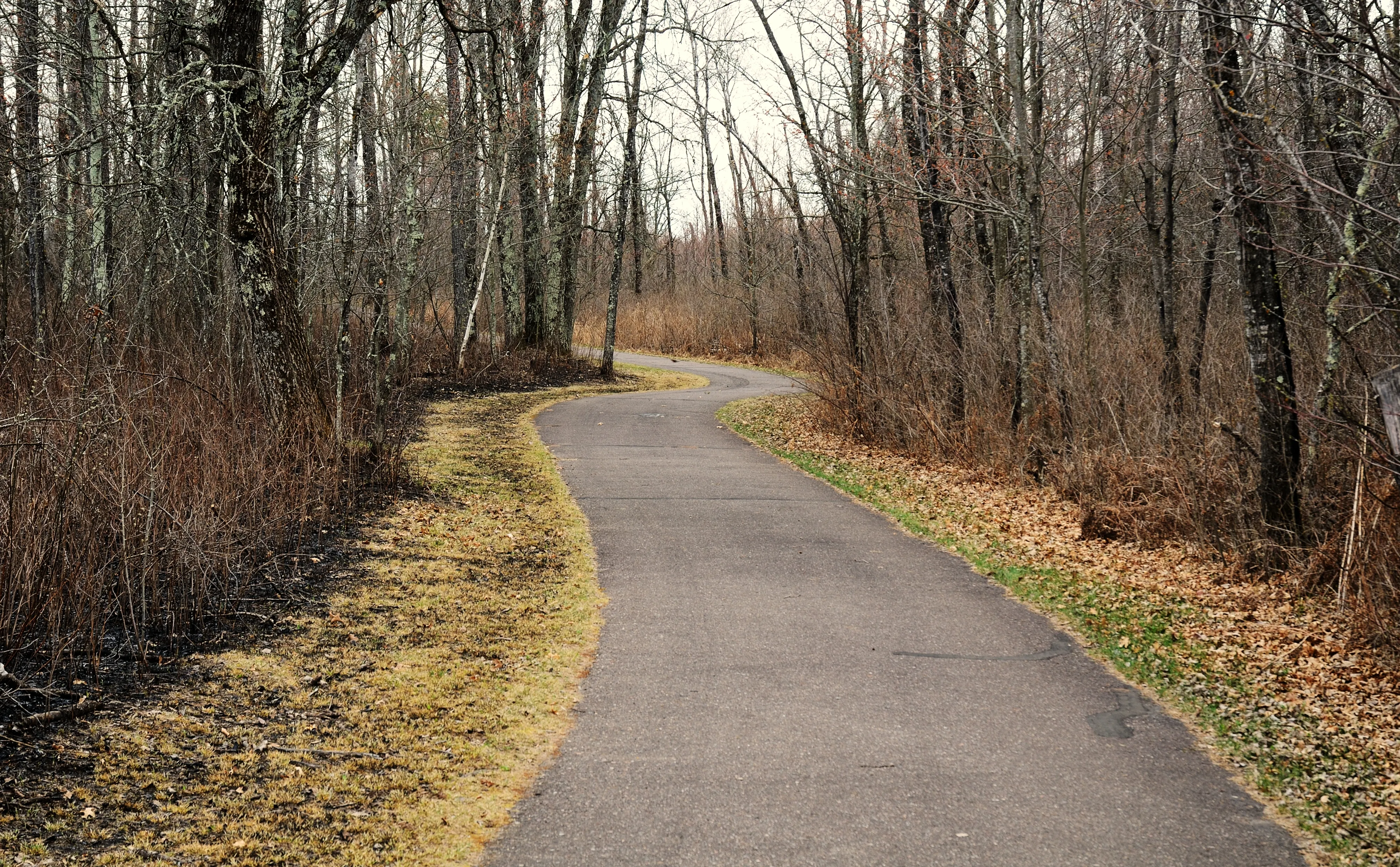 Bike the Paved Trail in St. Croix State Park