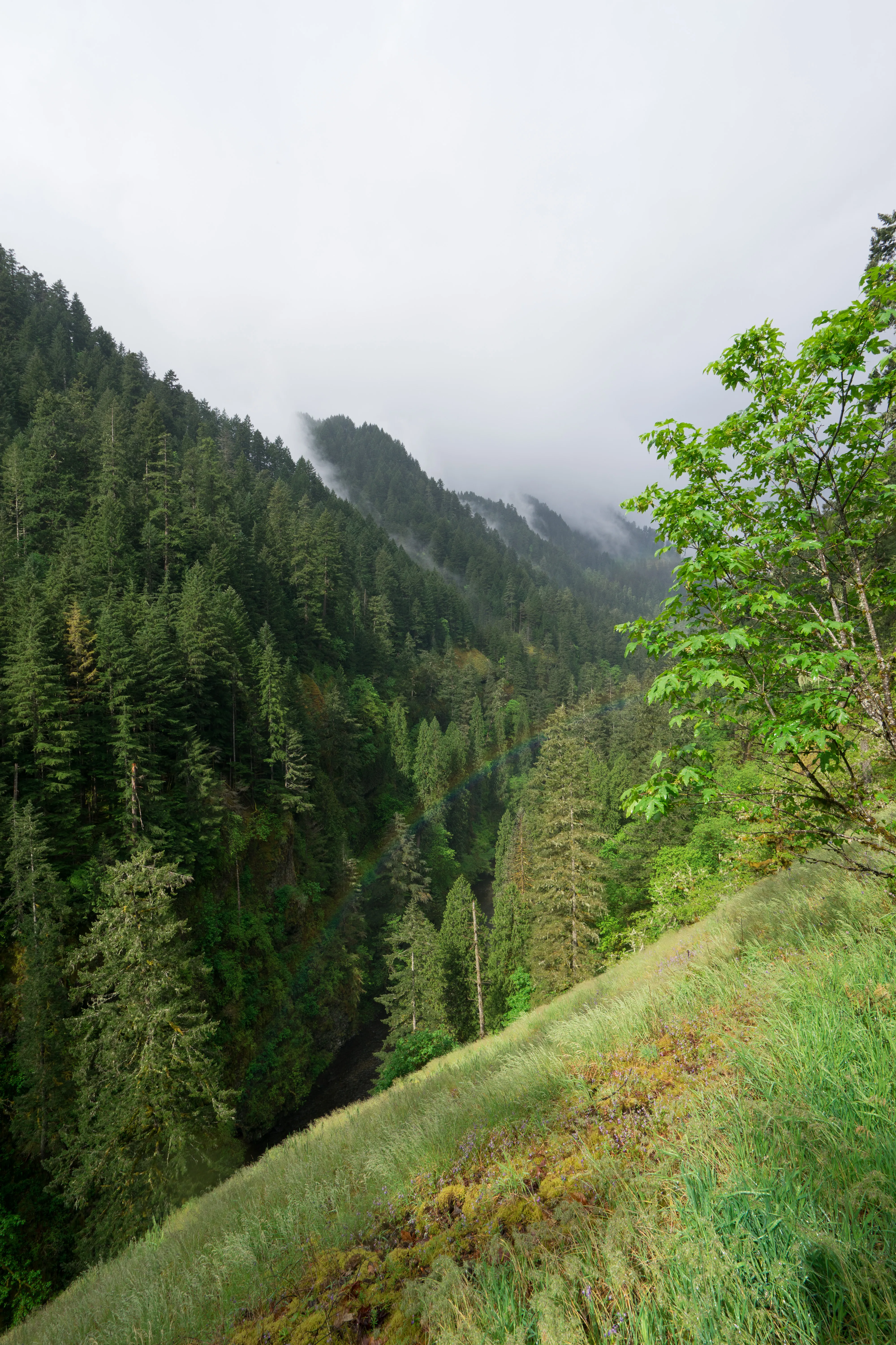 Wahtum Lake via Eagle Creek