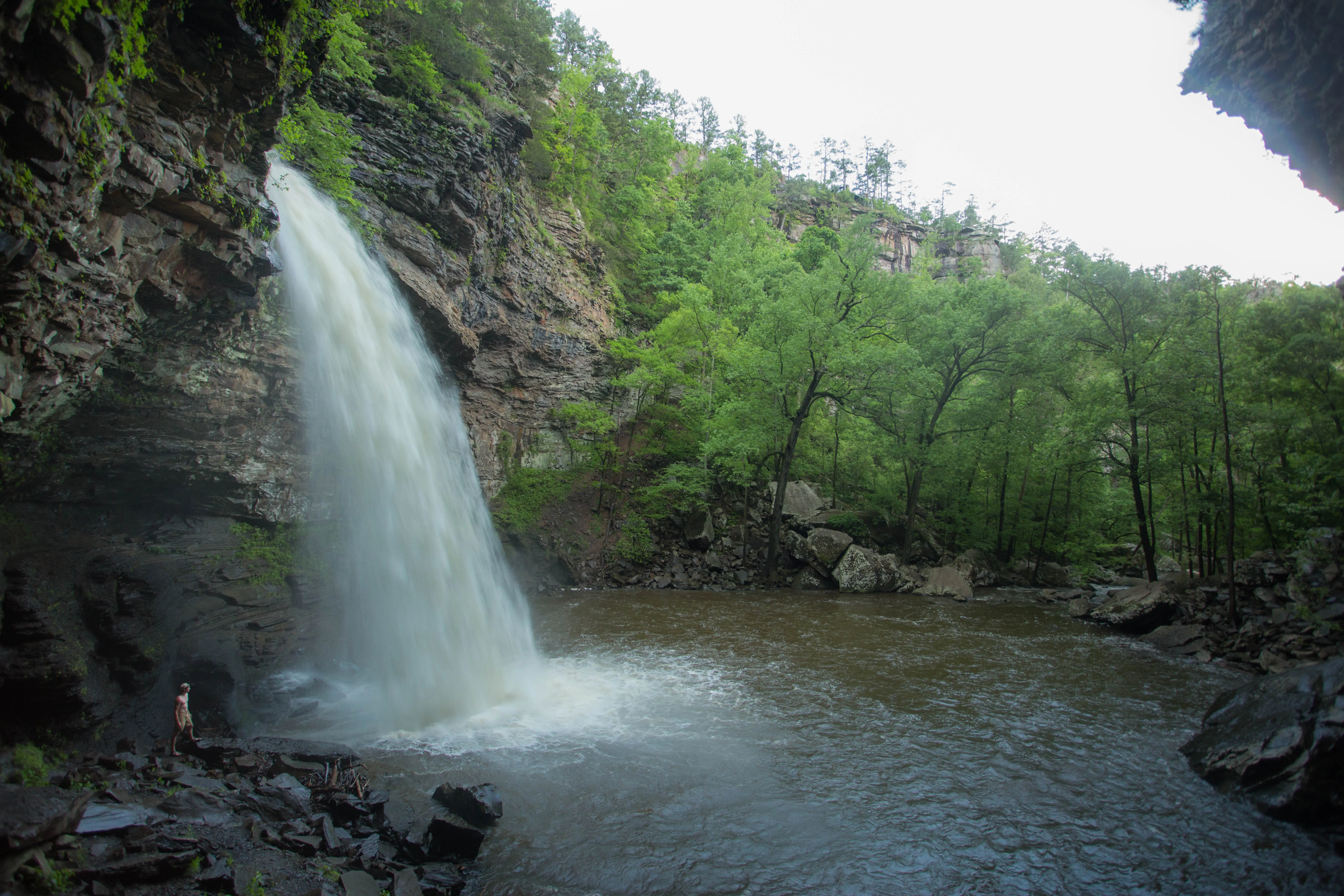 Cedar Falls 