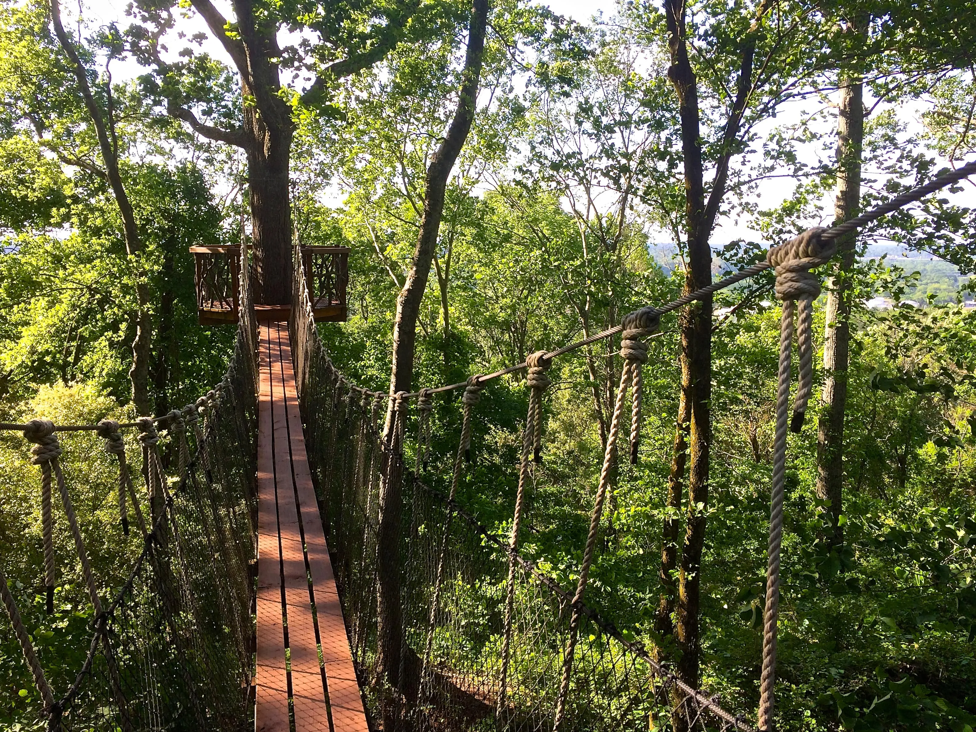 Trail Run to Skyhy Tree House at Red Mountain Park