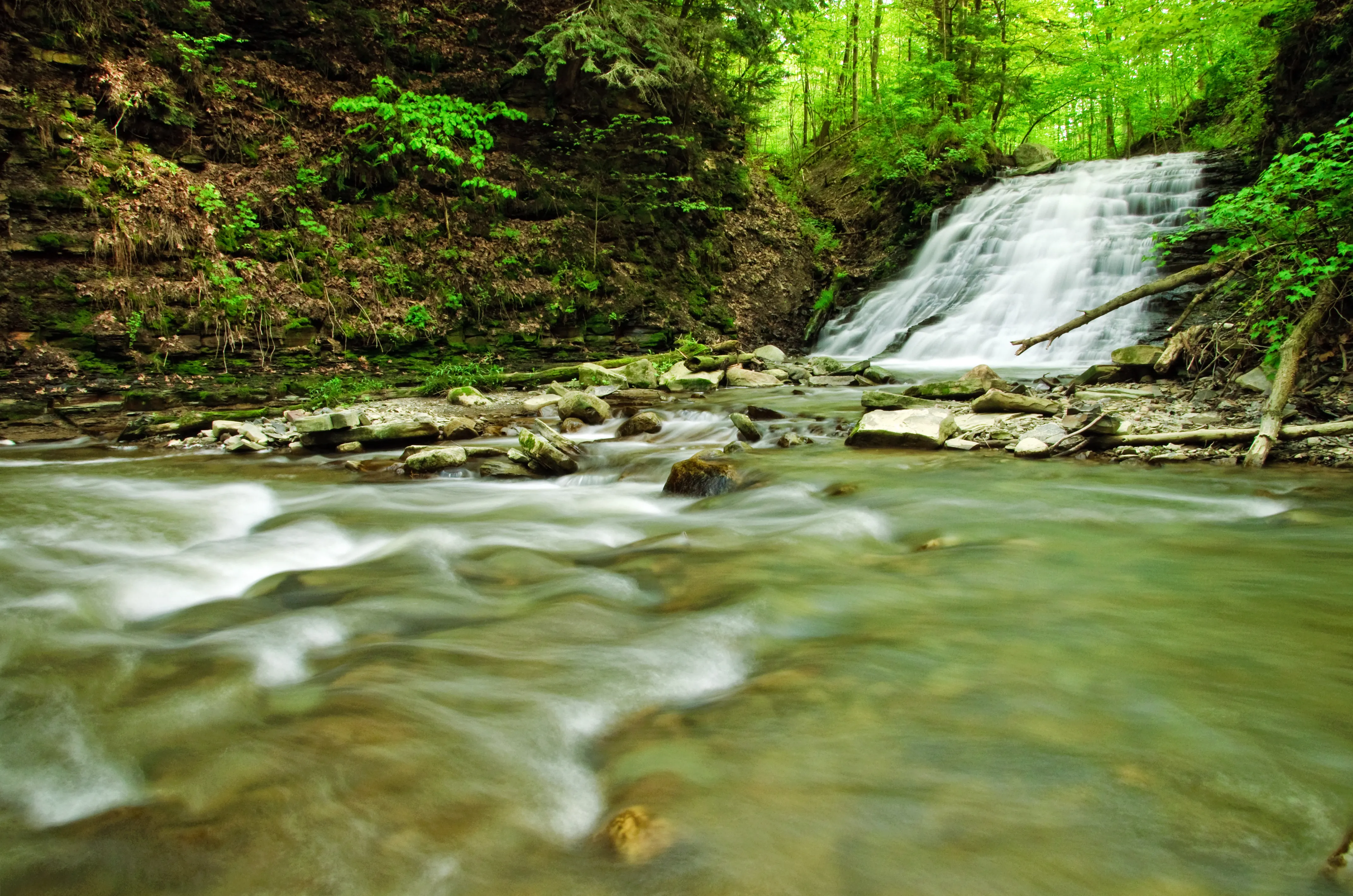 Hike to Papermill Falls 