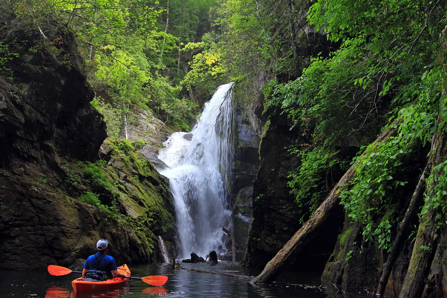Kayak to Laurel Fork Falls