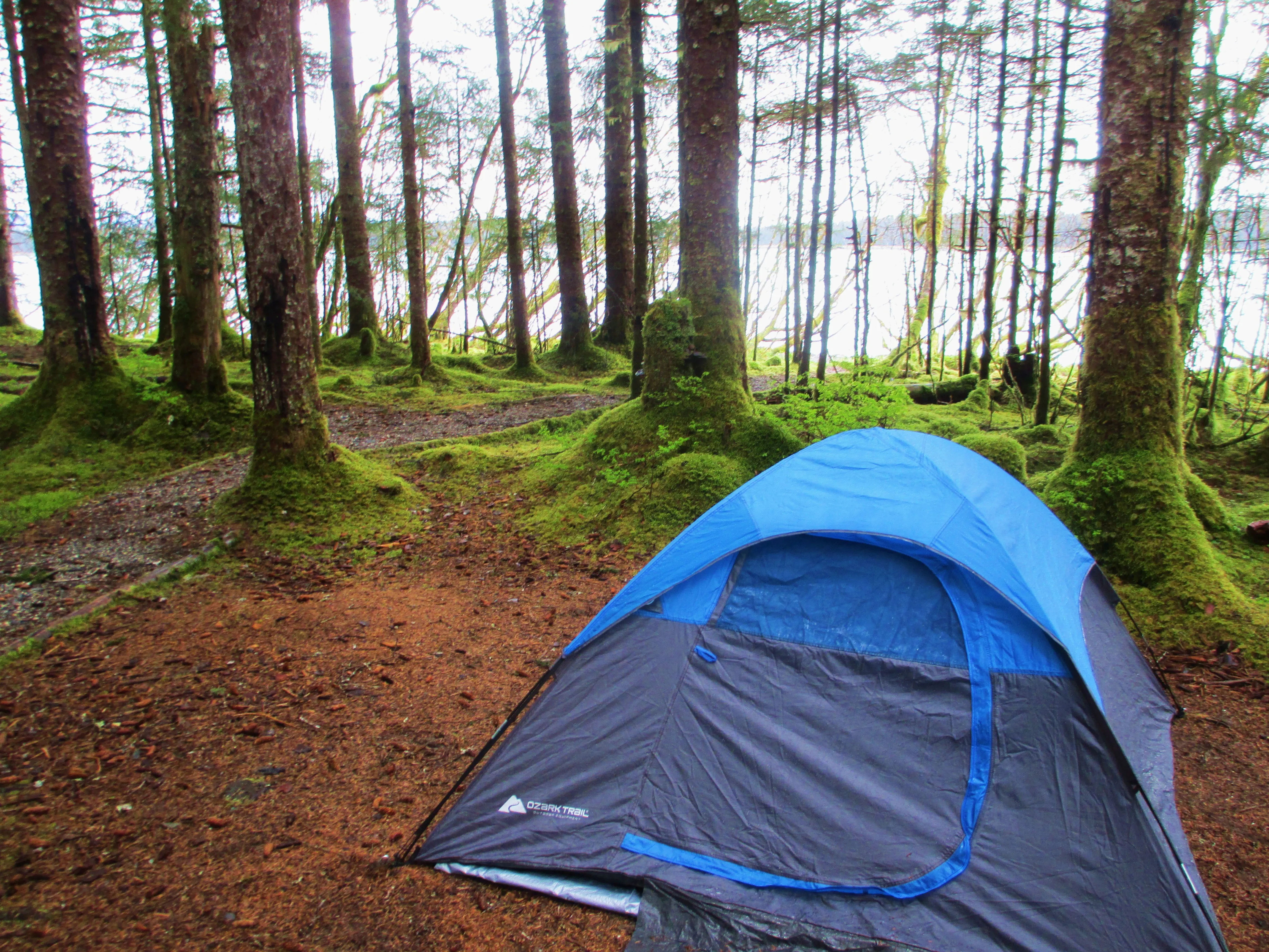 Camp at Bartlett Cove Campground in Glacier Bay NP