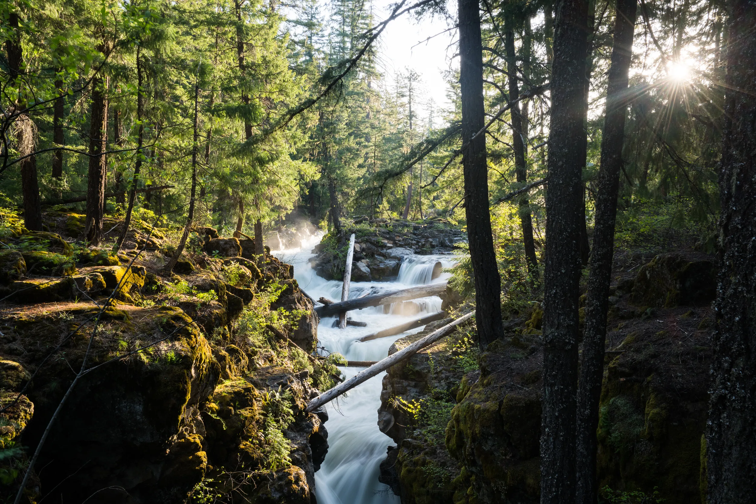 Rogue River Gorge Viewpoint