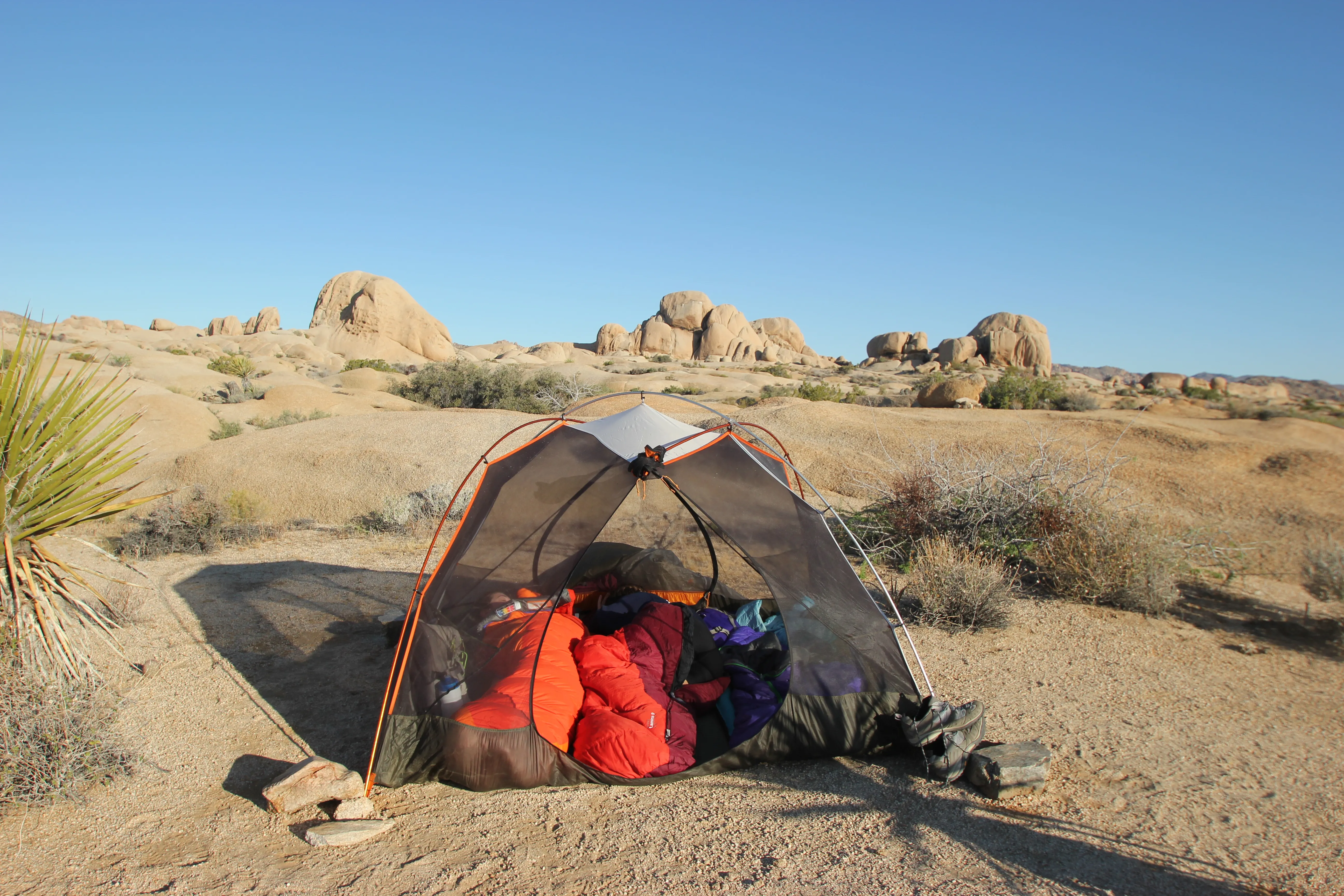 Backcountry Camp in Joshua Tree 