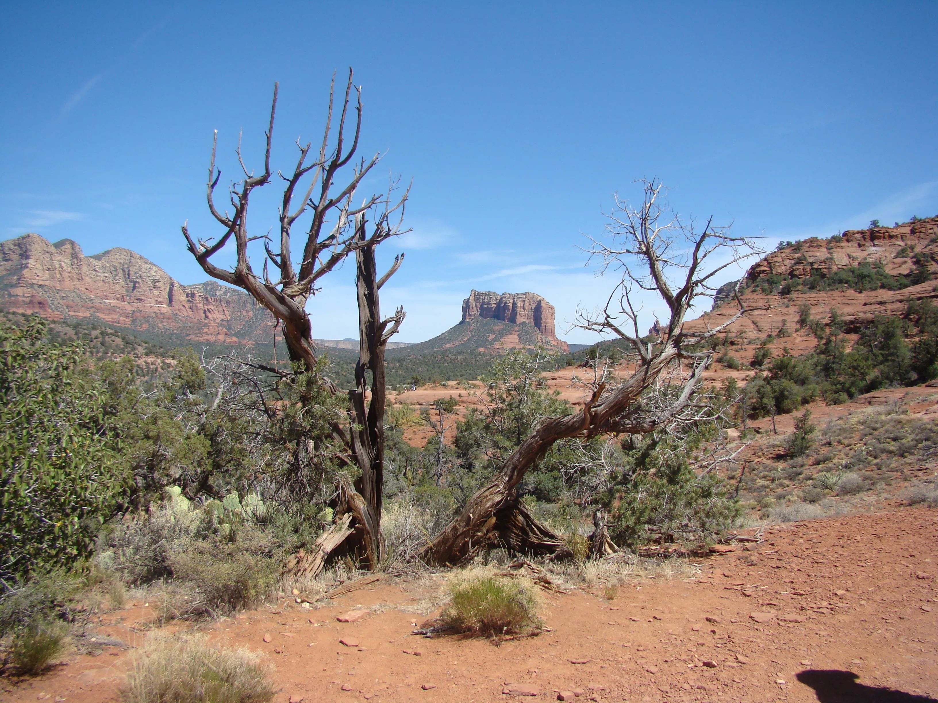 Templeton Trail to Oak Creek