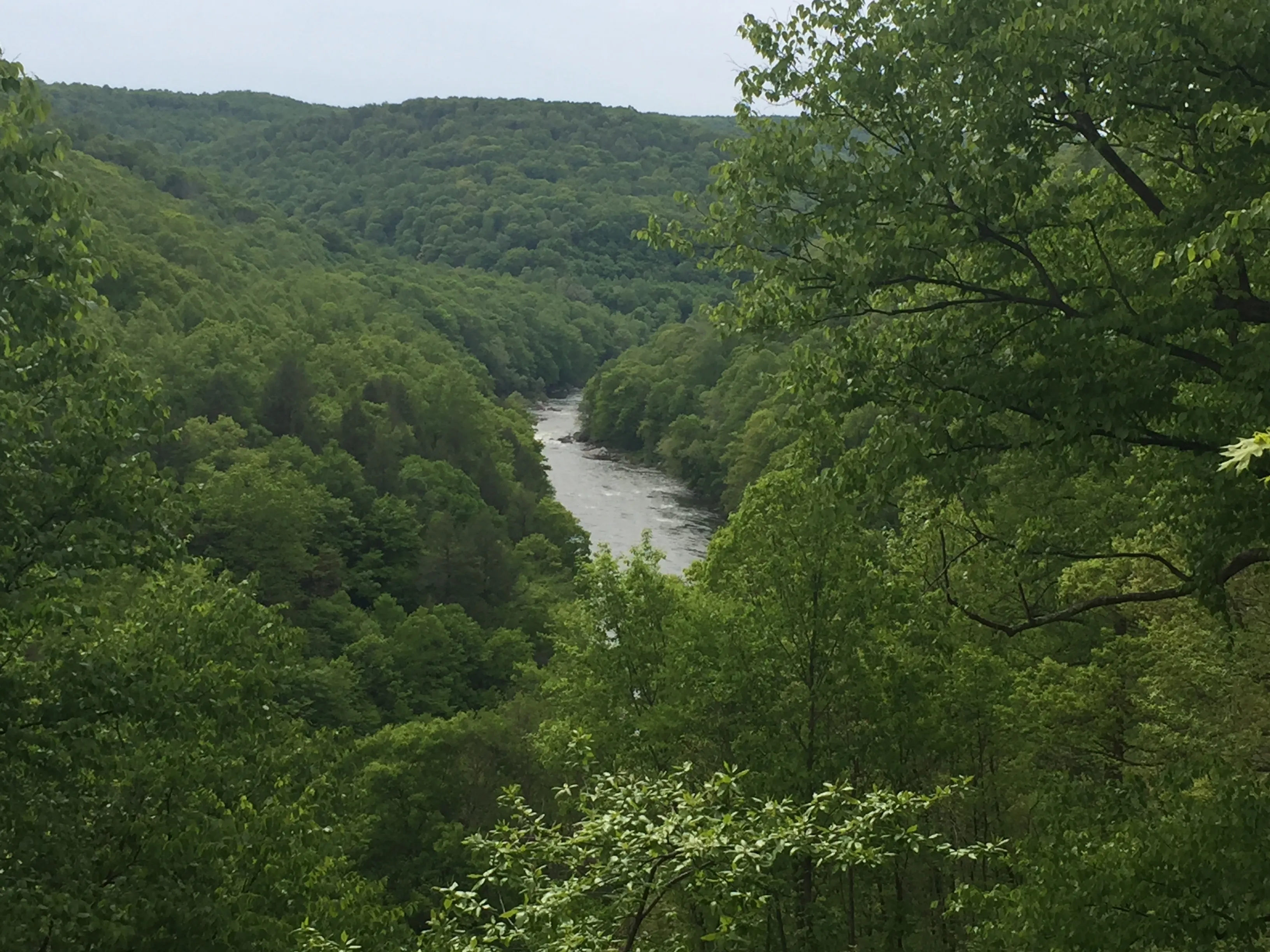 Hike the Bear Run Nature Reserve Loop