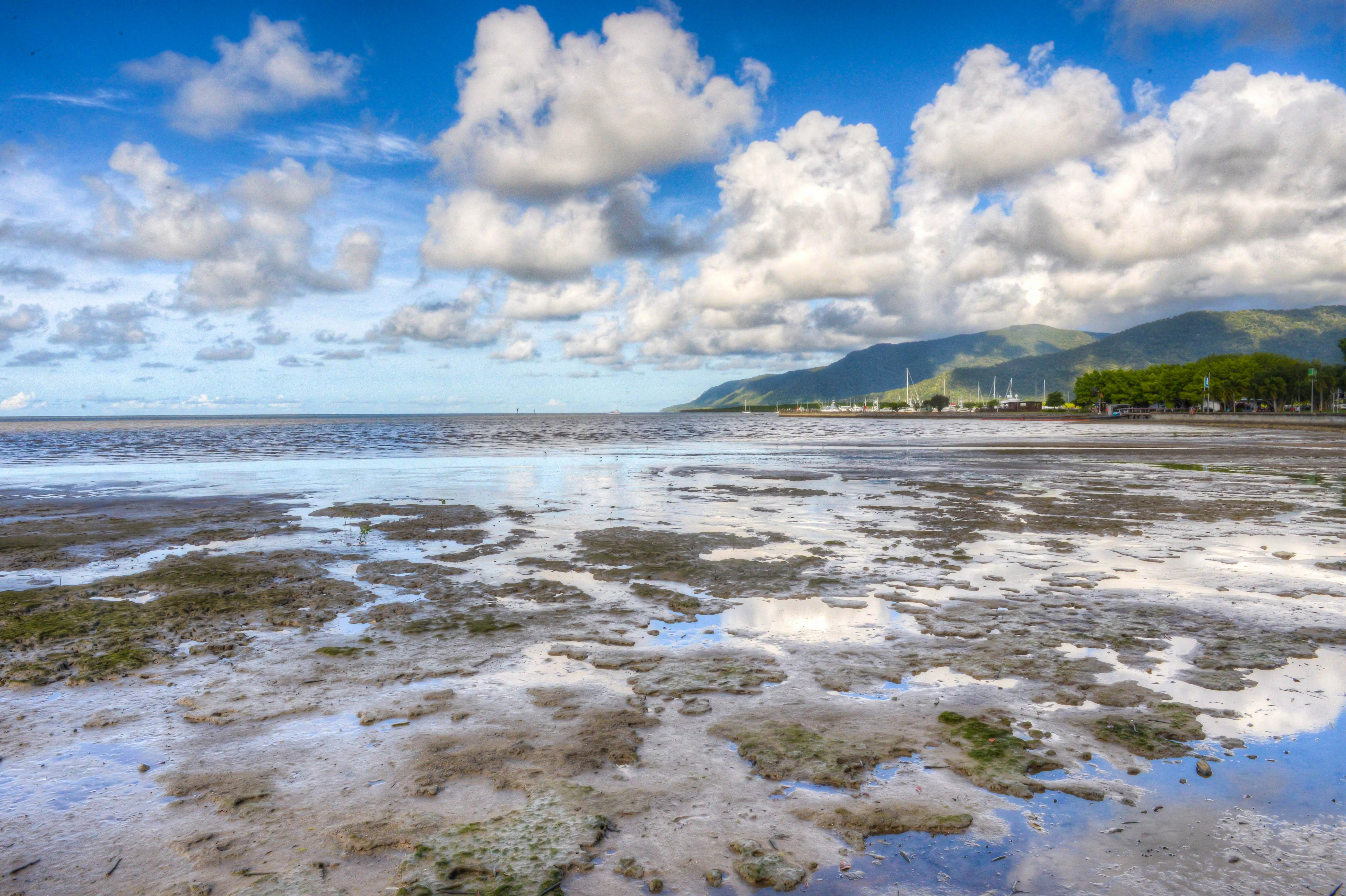 Relax at Cairns Esplanade