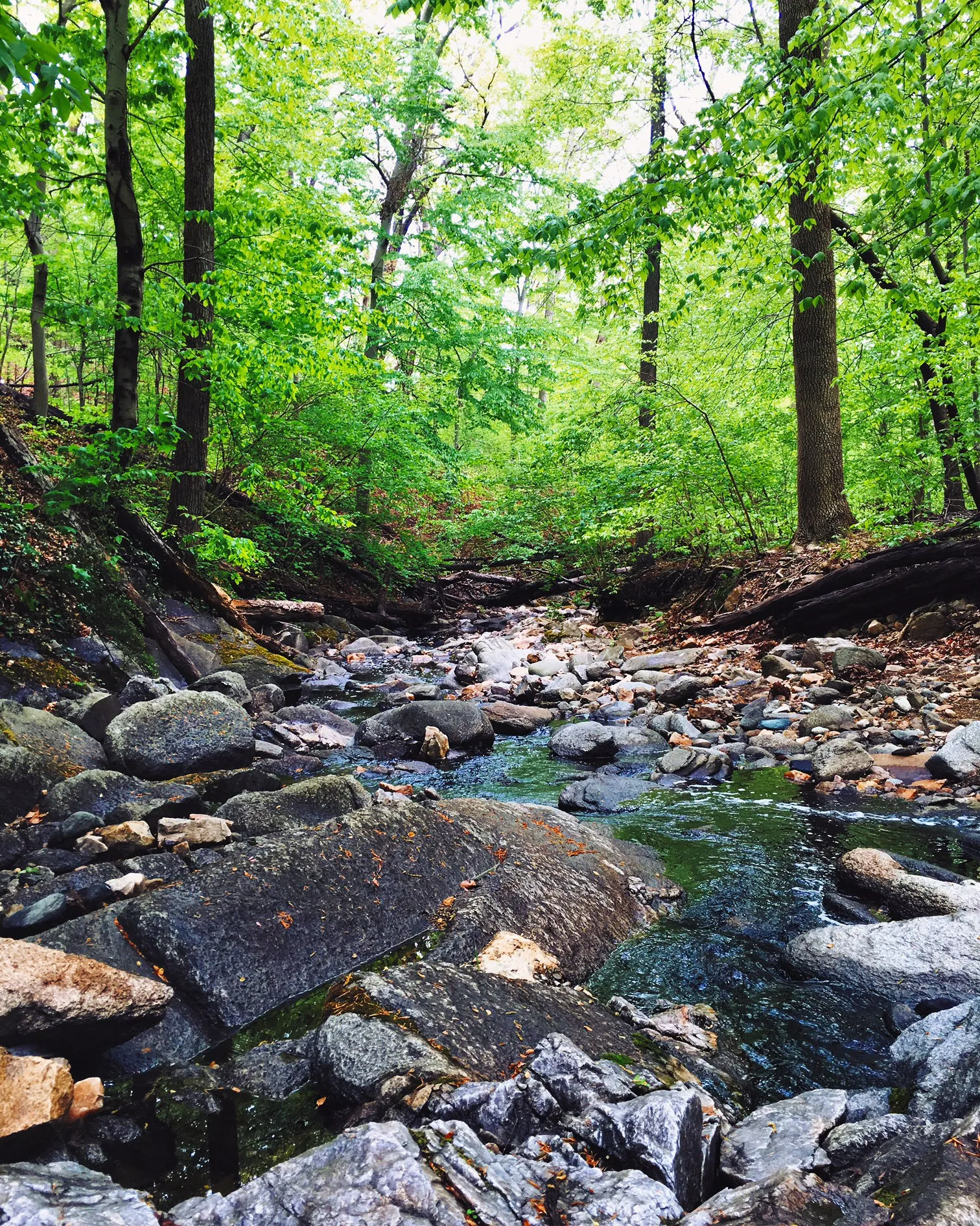 Hike the Soapstone Valley Trail