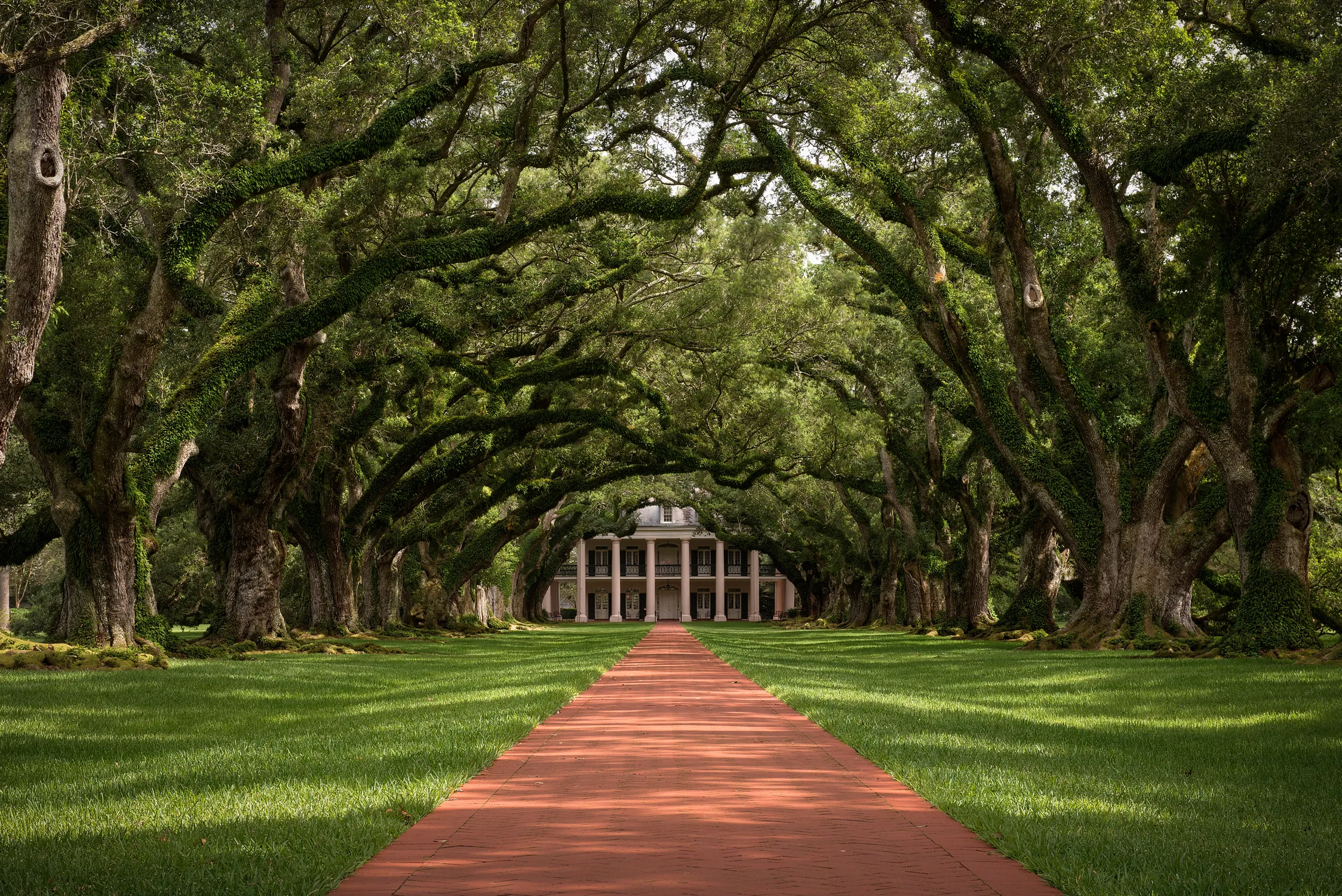 Explore the Oak Alley Plantation