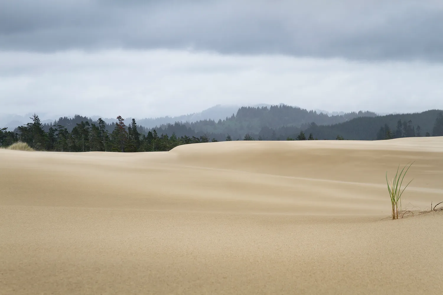 Hike the John Dellenback Dune Trail