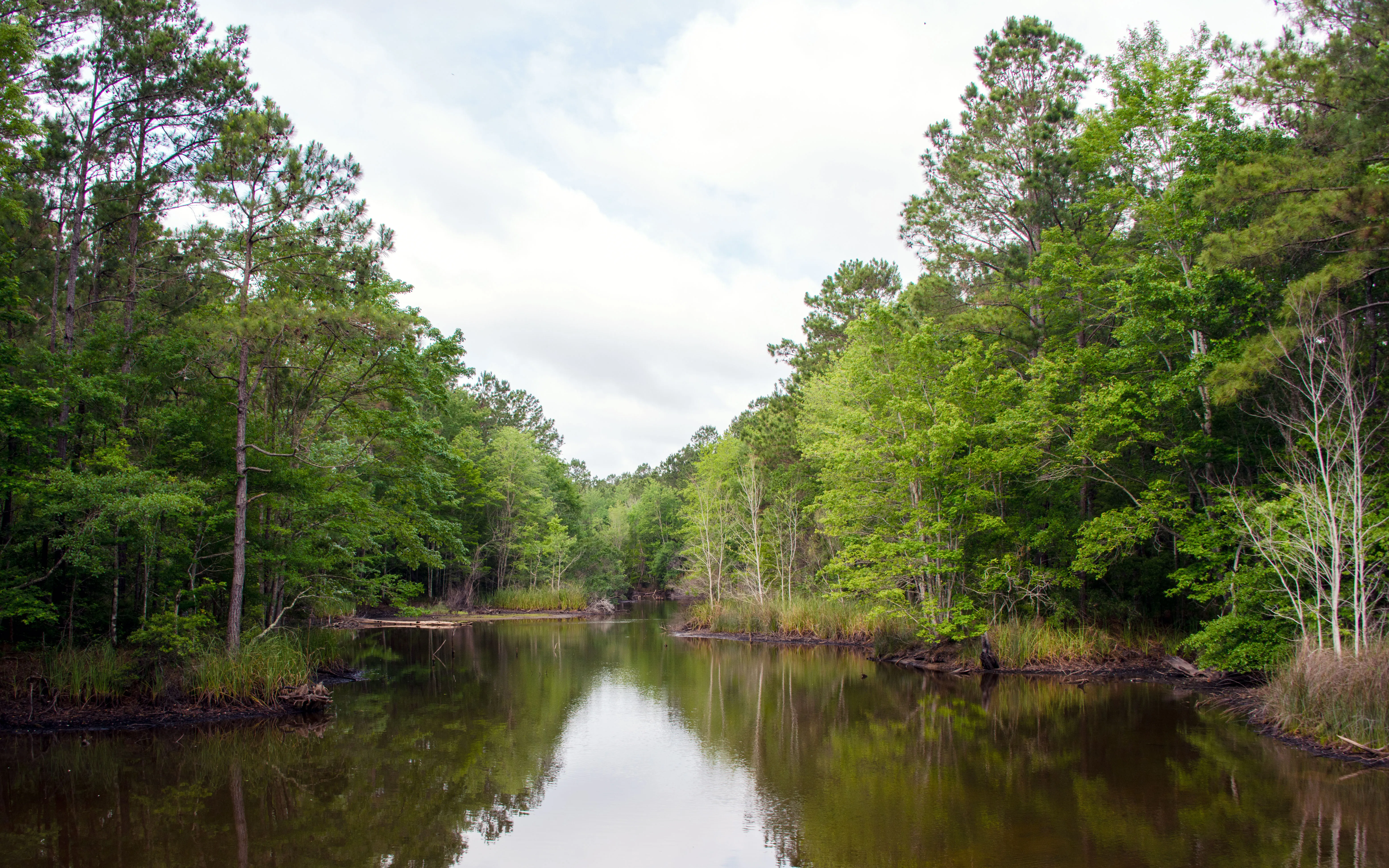 Hike the South Tibwin Trail