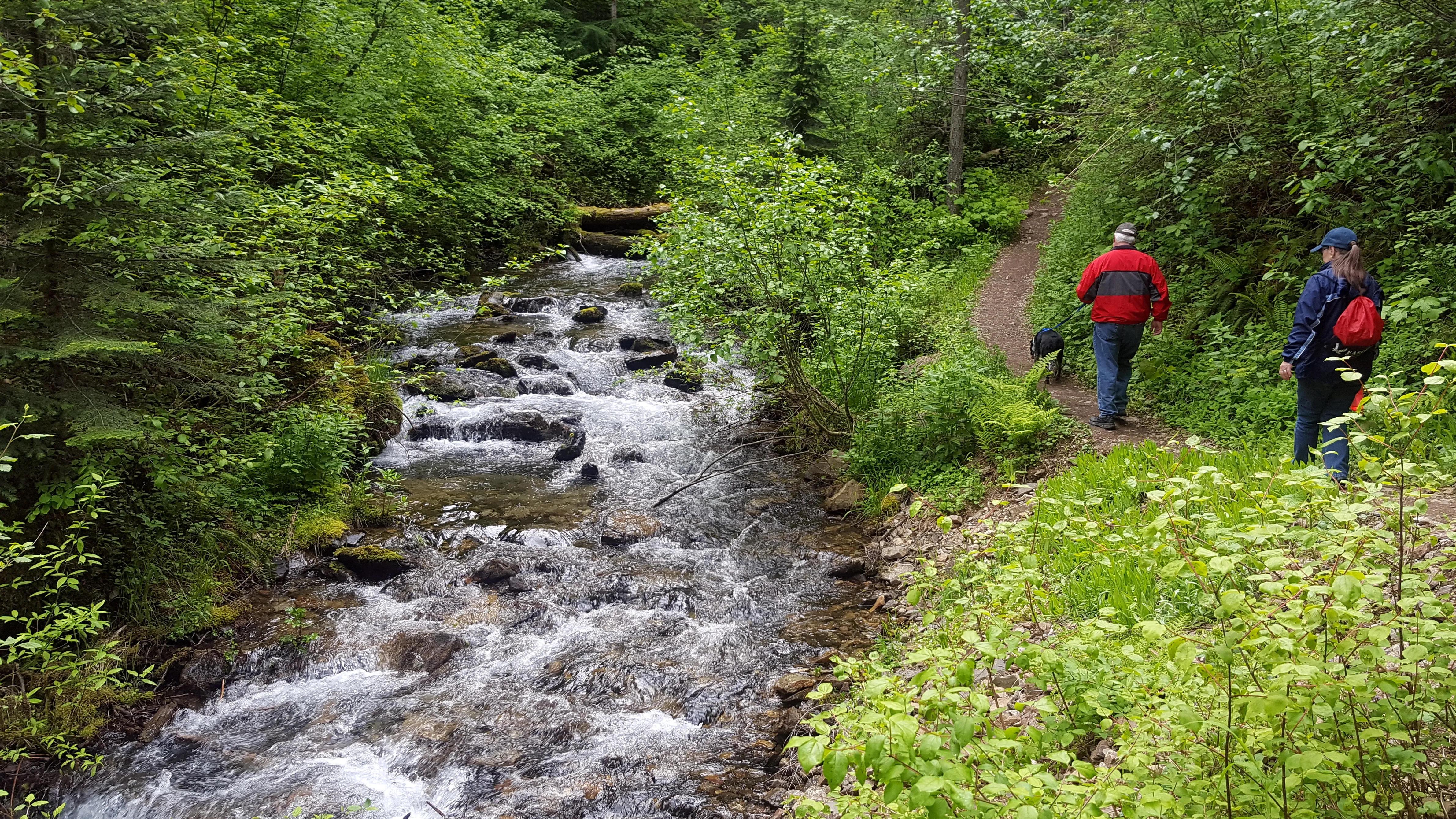 Hike the Pulaski Tunnel Trail