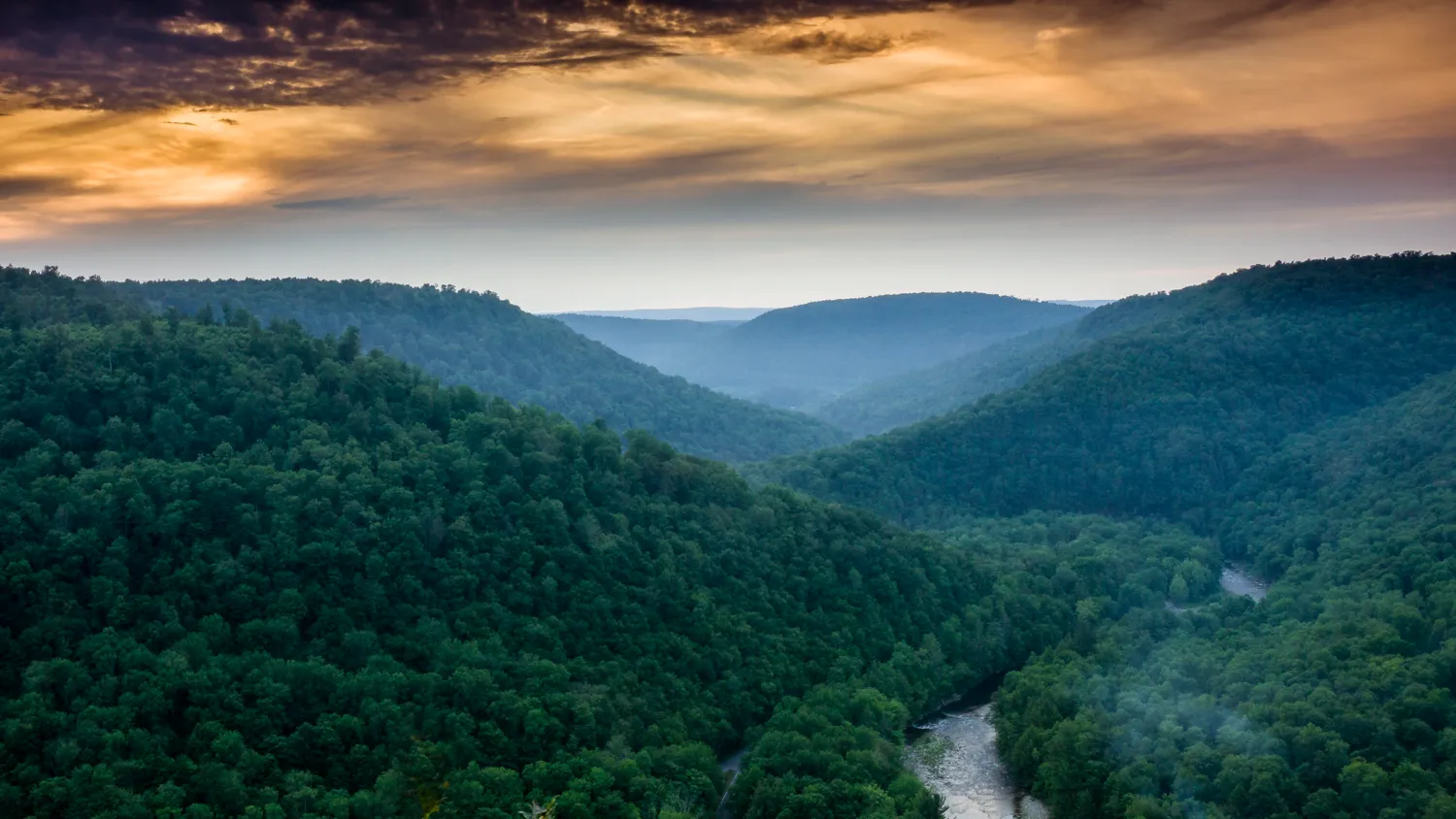 Photograph The Loyalsock Canyon Vista