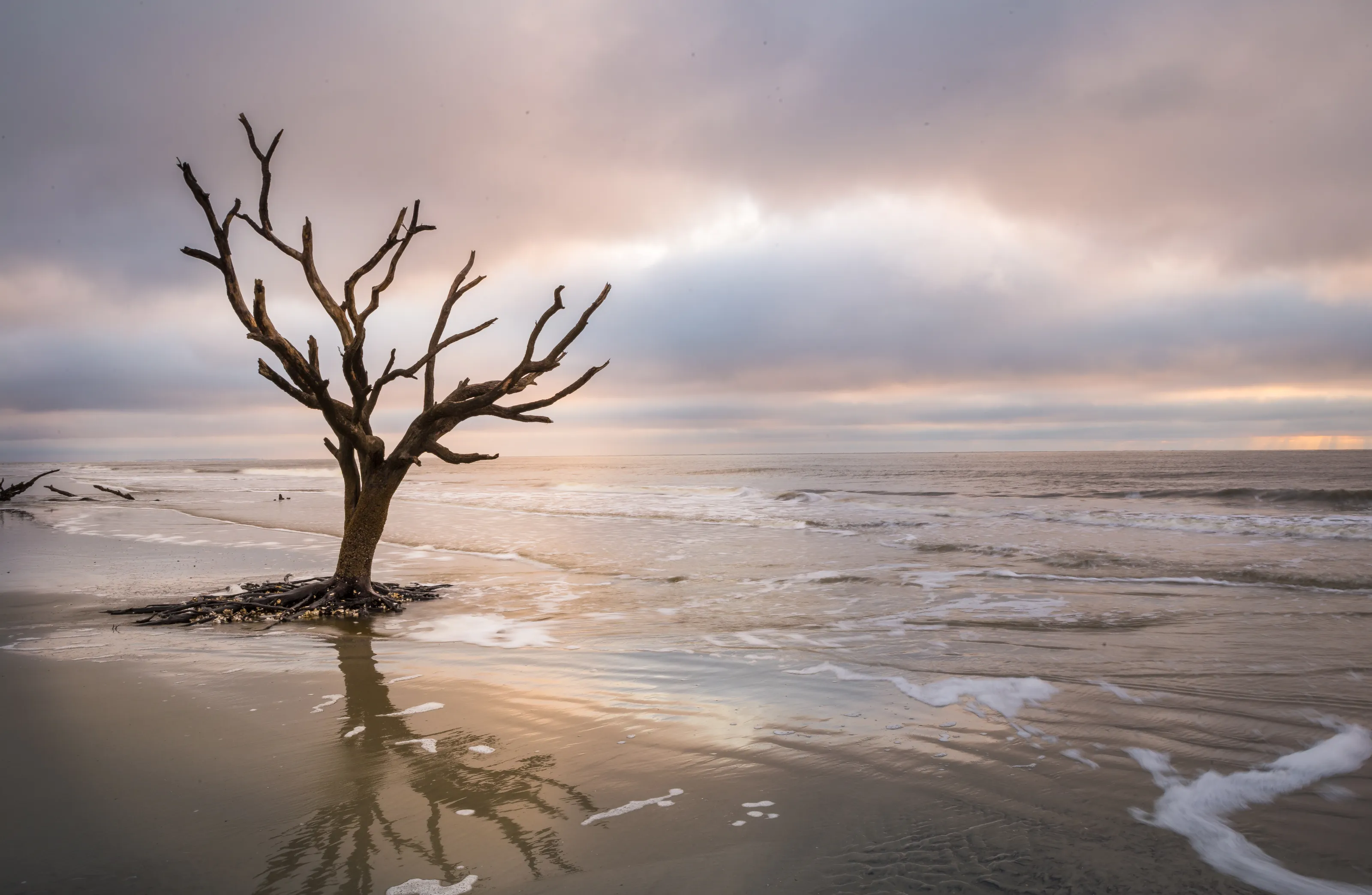 Boneyard Beach 