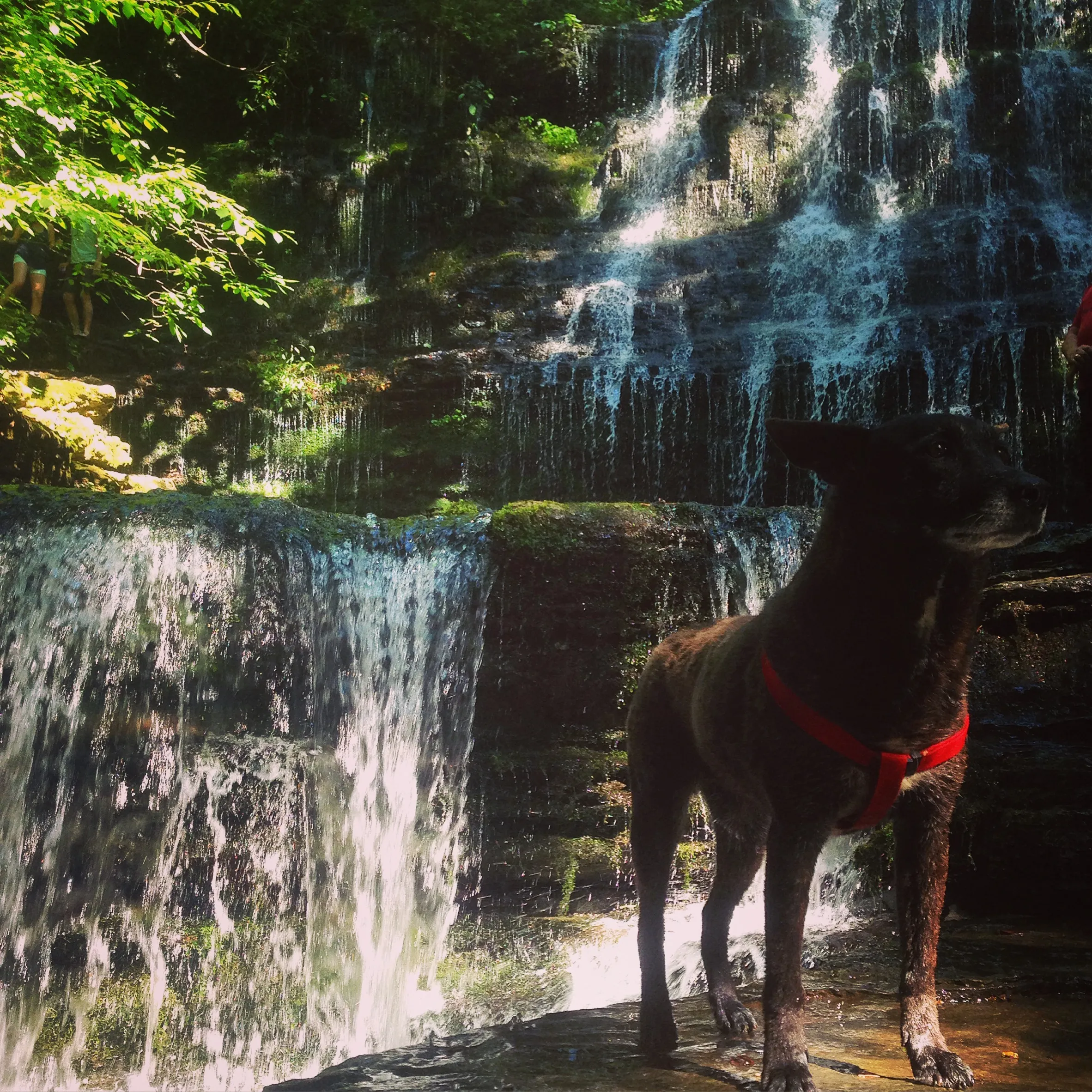Machine Falls Loop at Short Springs Natural Area