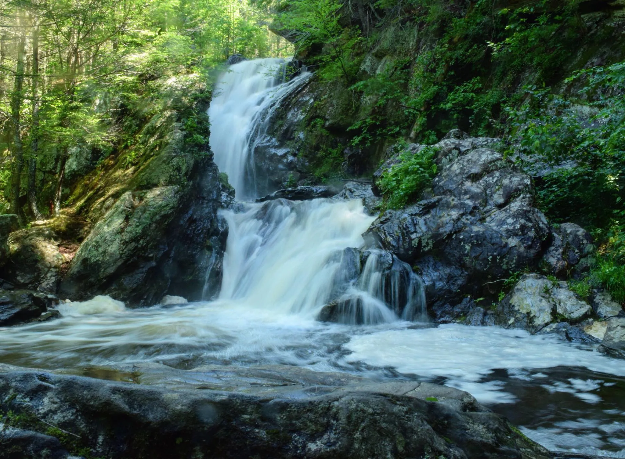 Campbell Falls