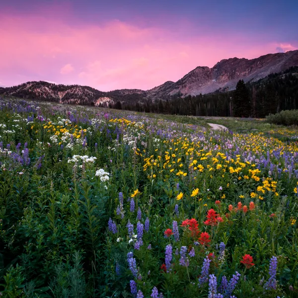  A Seasonal Guide To Utah's Best Spots For Outdoor Photography