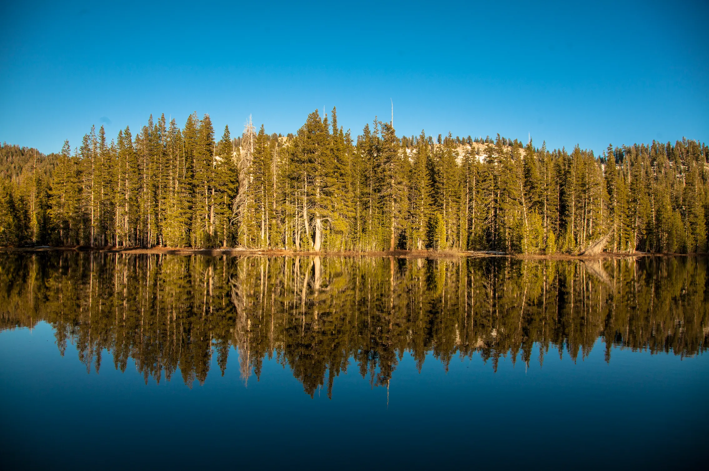 Johnson Lake via Chilnualna Falls Trailhead