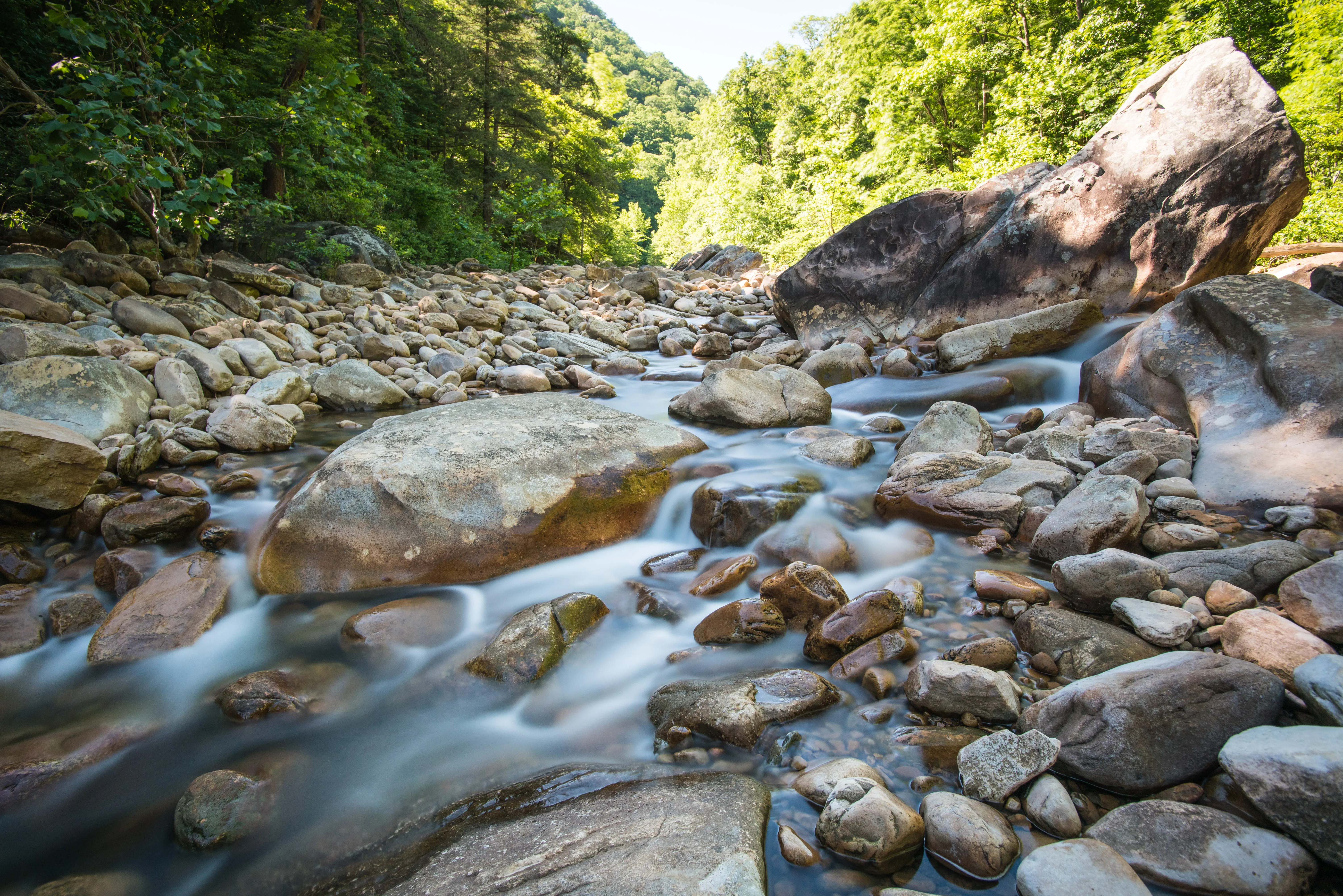 Hike the Hogskin Loop to Stripmine Falls
