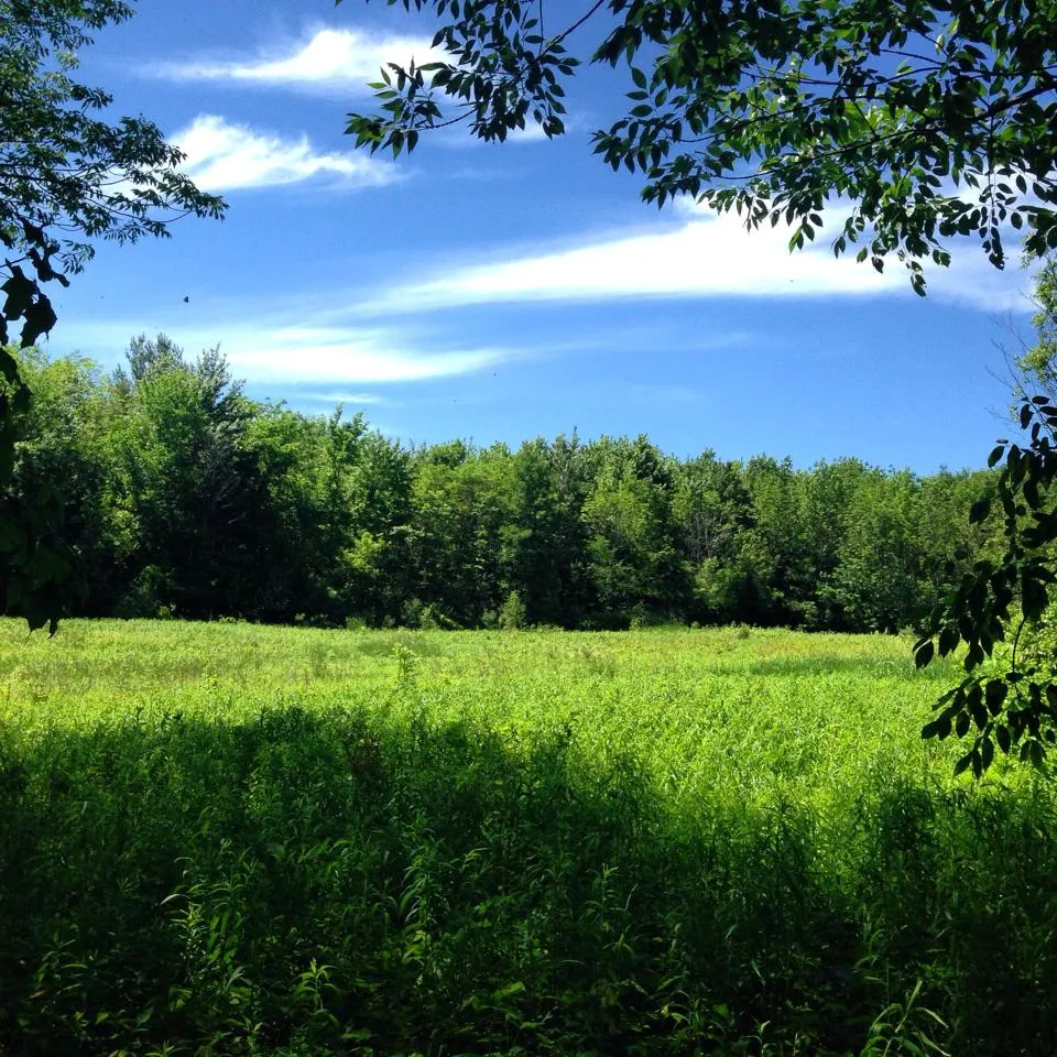 Hike the Glacier Flats Trail at Spicer Lake Nature Reserve