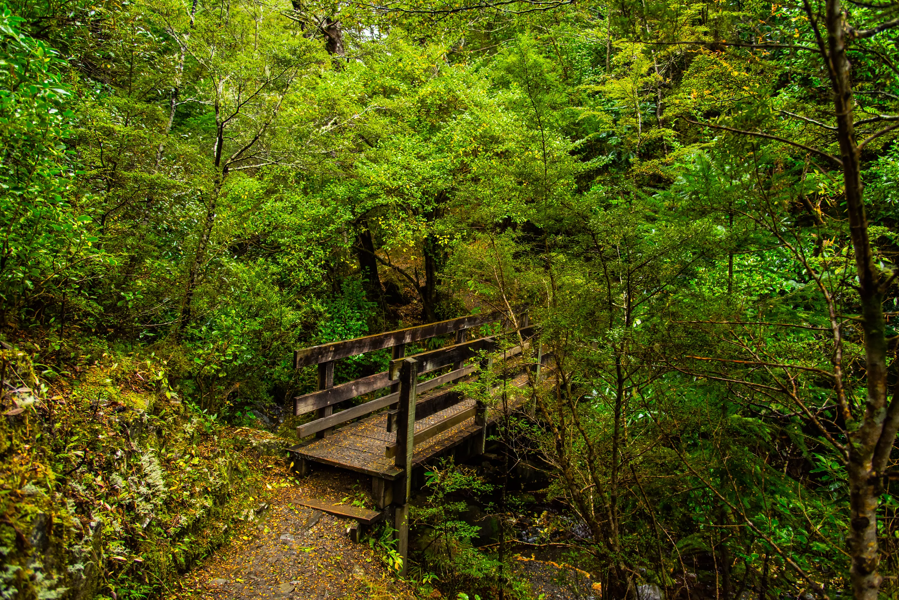 Hike the Waterfall Track