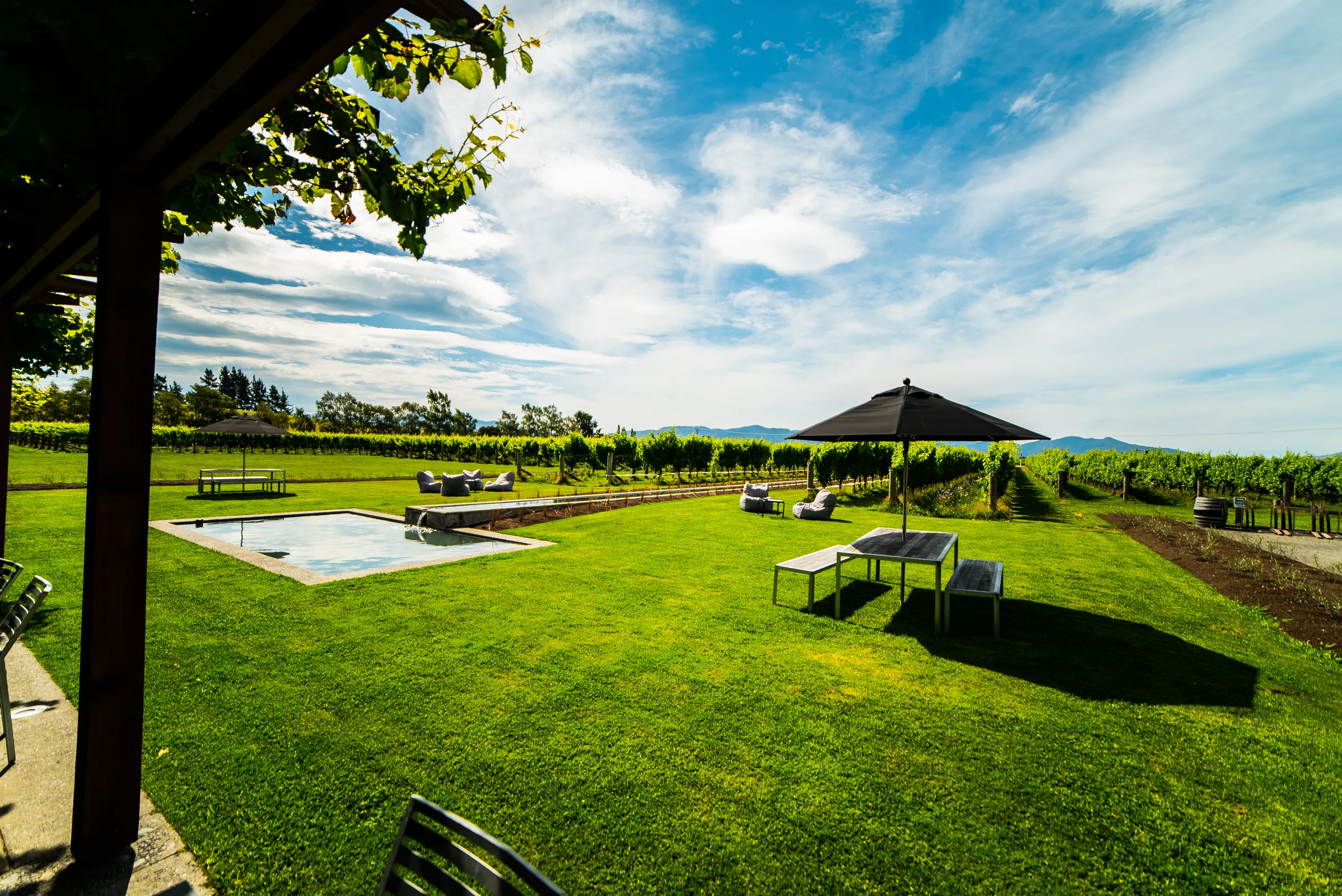 Bike Tour Renwick Wineries 