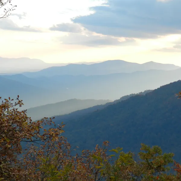 Great Backpacking Foods You Can Find at the Local Market