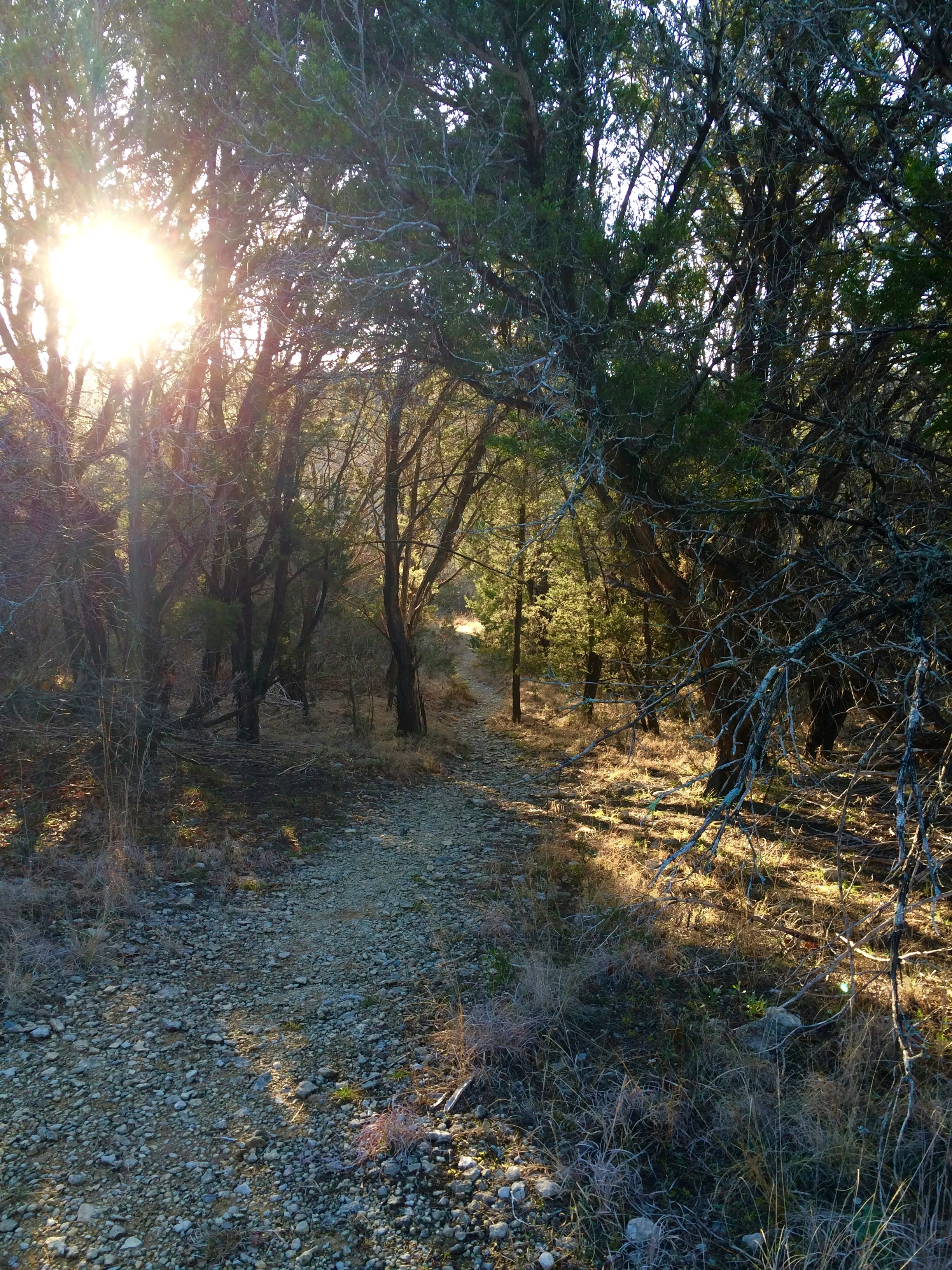 Camp at Dinosaur Valley State Park