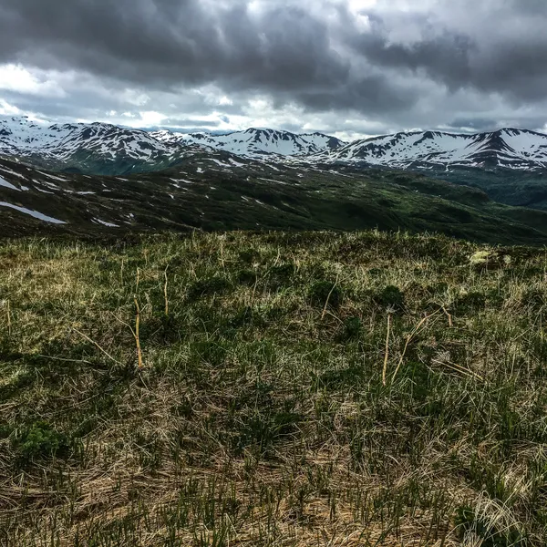 8 Reasons Why Kodiak Alaska Should Be Your Next Epic Adventure
