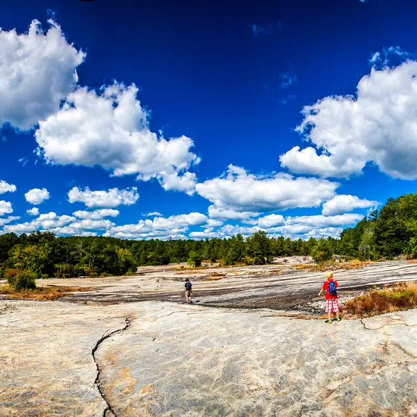 5 Family-Friendly Hikes Near Atlanta, Georgia