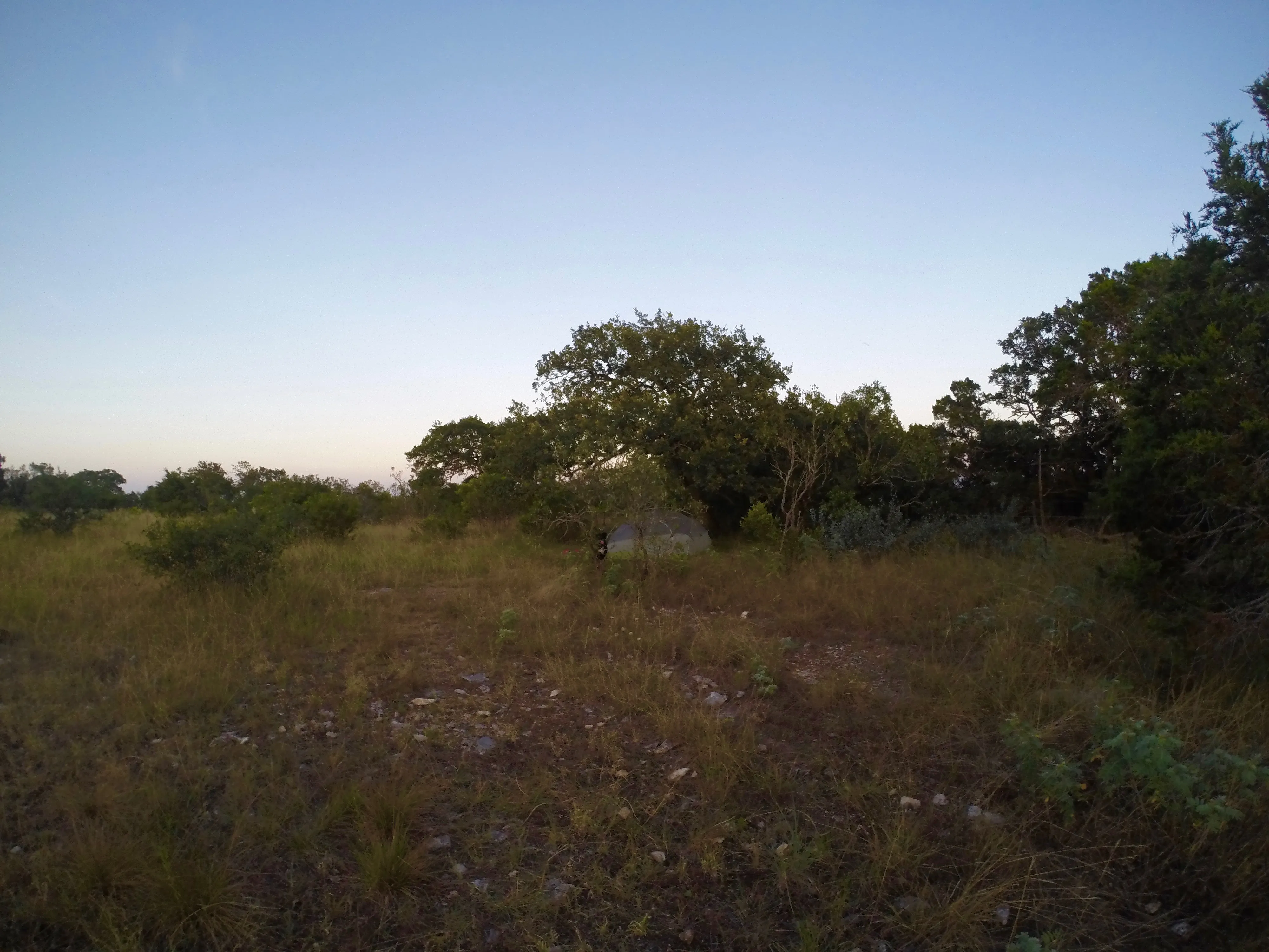 Primitive Camp at Lost Maples State Natural Area