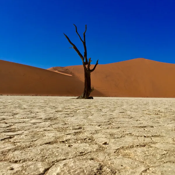 5 Tips to Get the Most of Your Adventure in Namibia