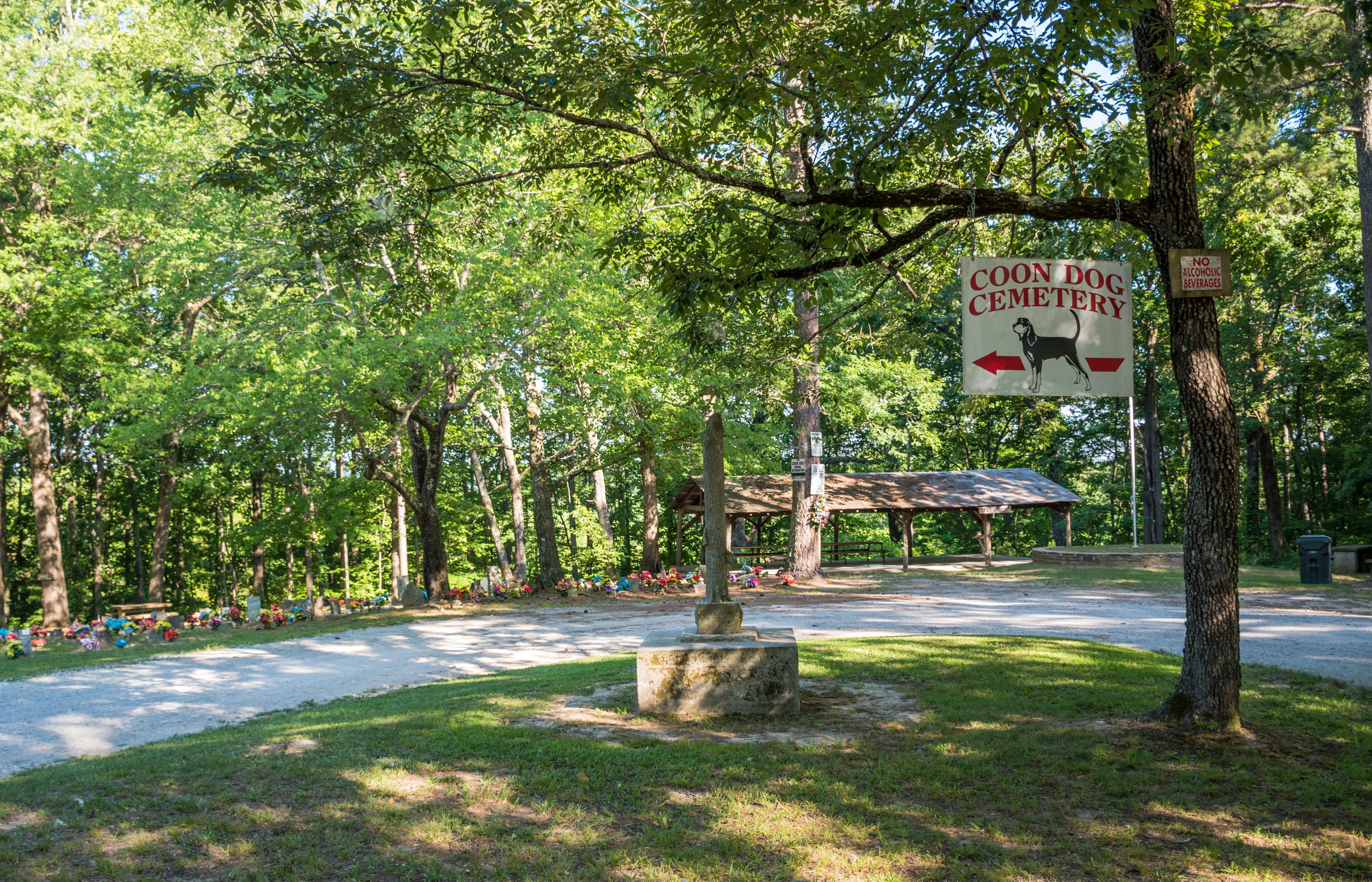 Visit the Coon Dog Cemetery