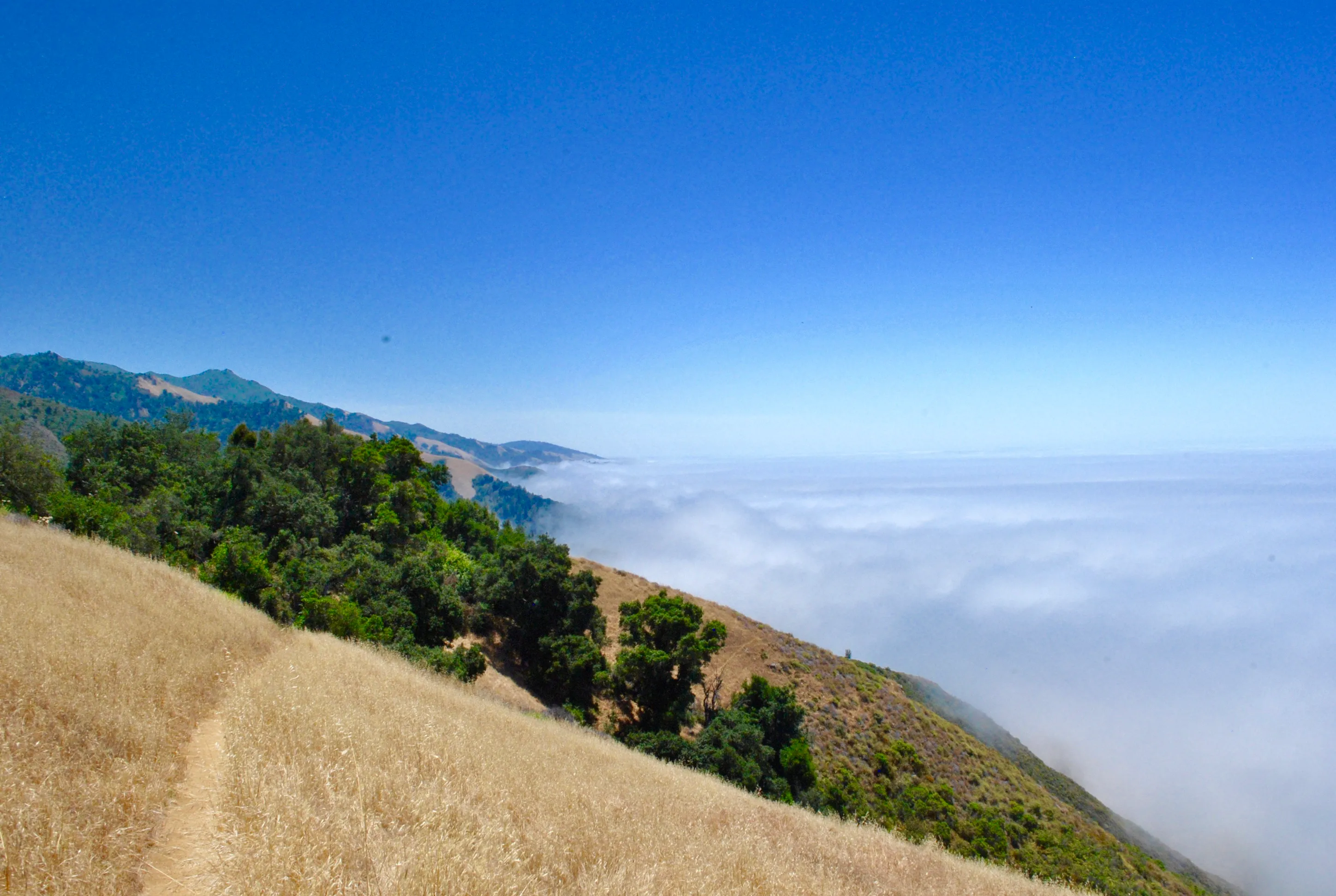 Waters Ridge Trail (Closed)