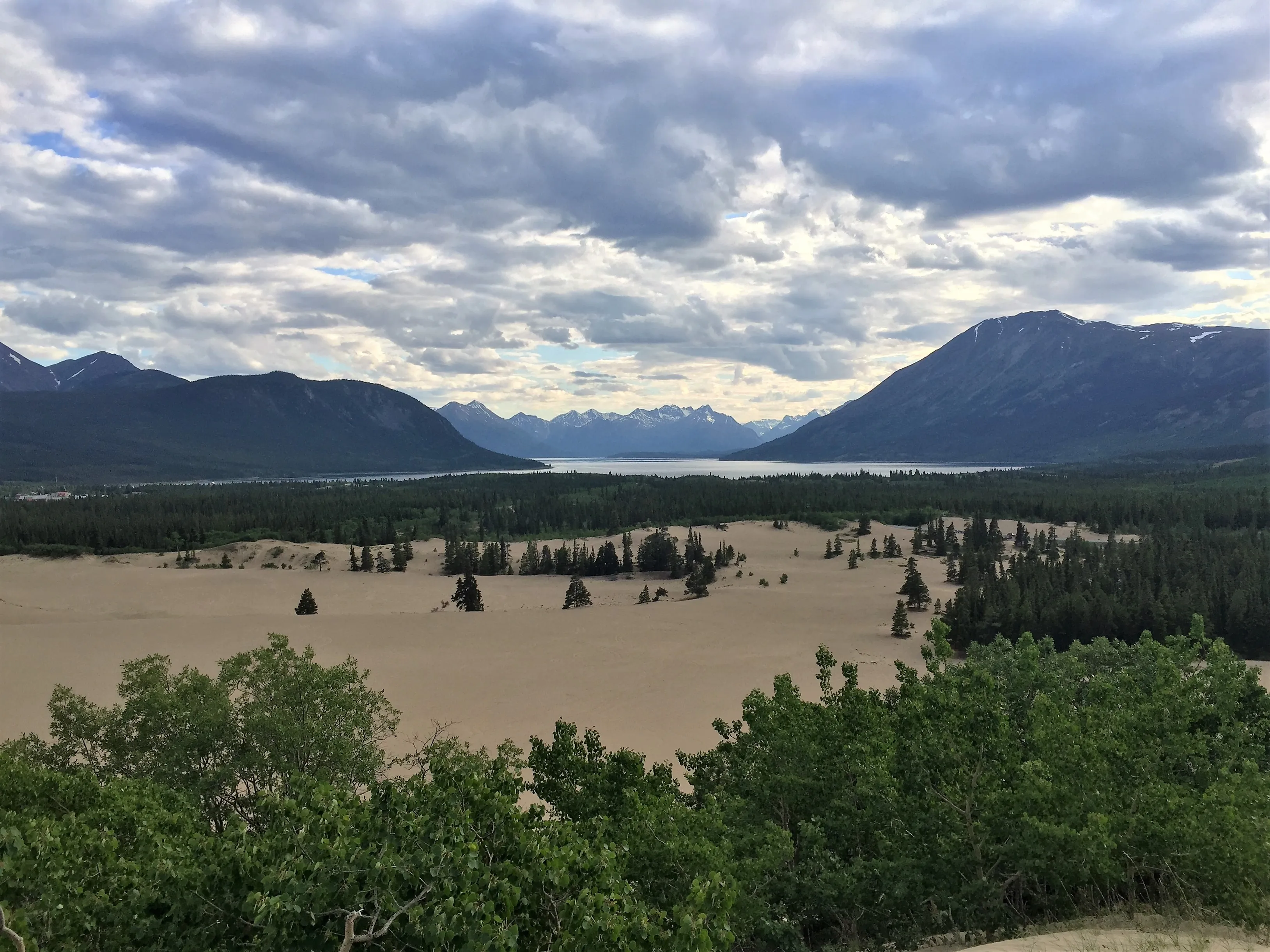 Carcross Desert Viewpoint